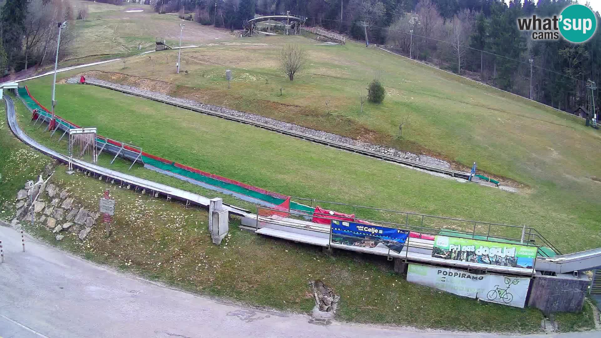 Celjska Koča – Blick vom Hotel