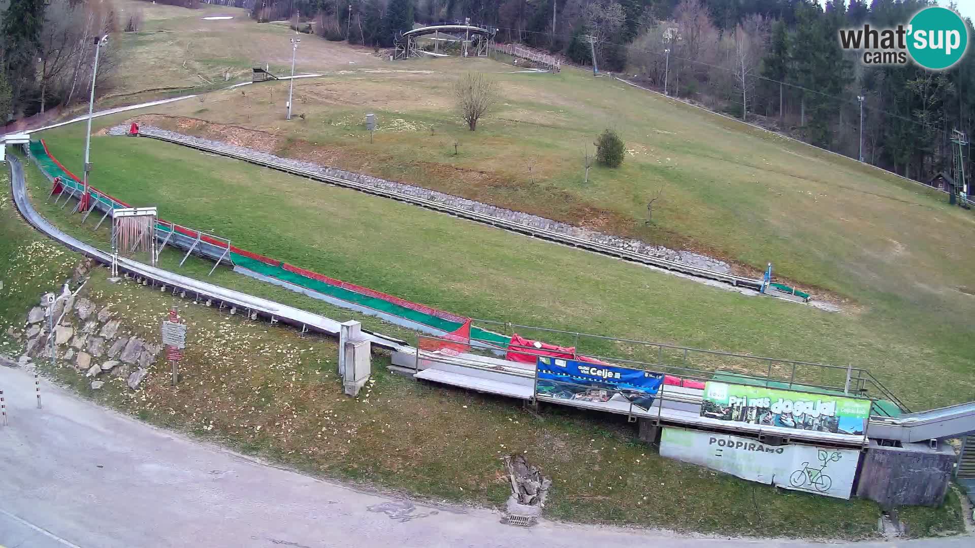 Celjska Koča – vista desde el hotel