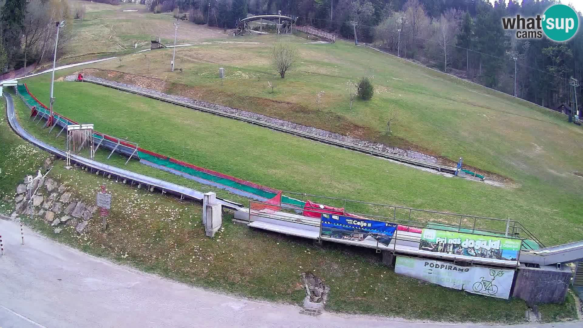 Celjska Koča – vista dall’hotel