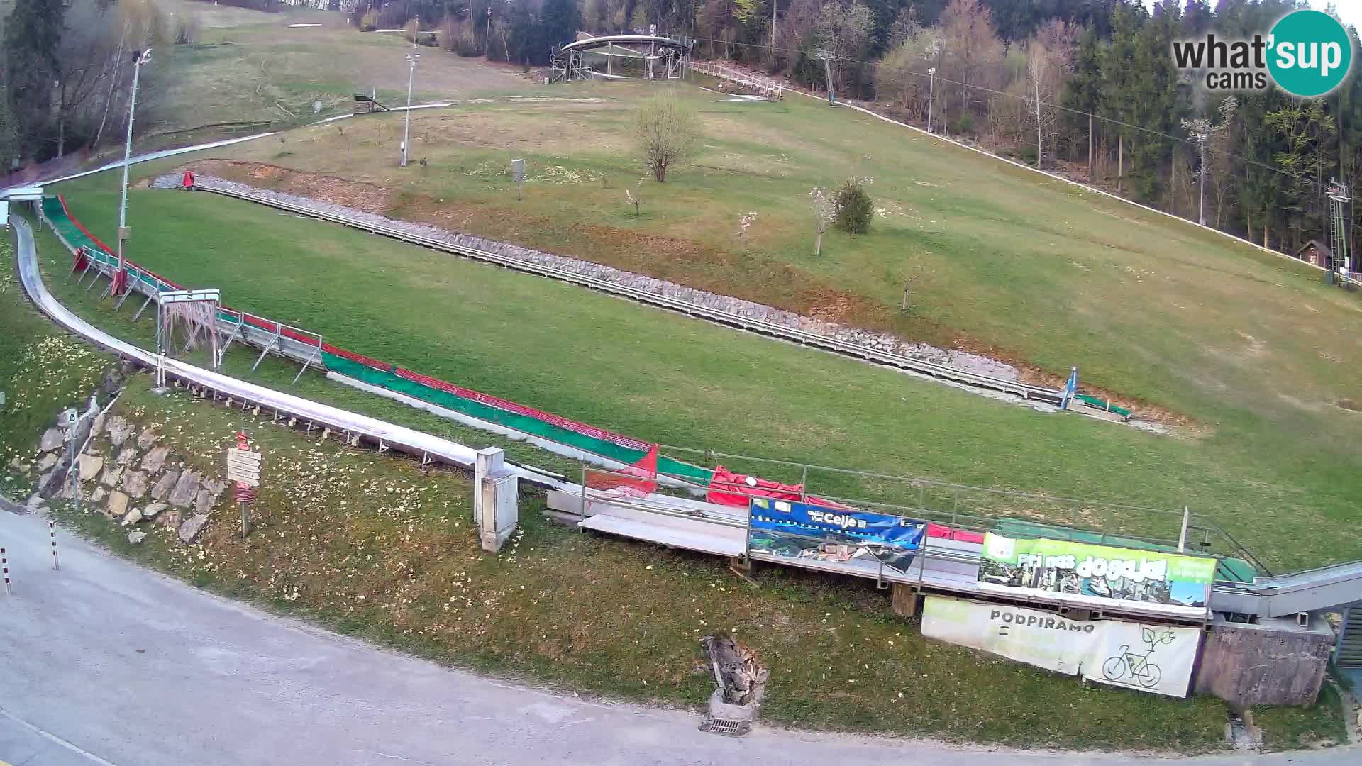 Celjska Koča – view from hotel – Celje – Slovenia
