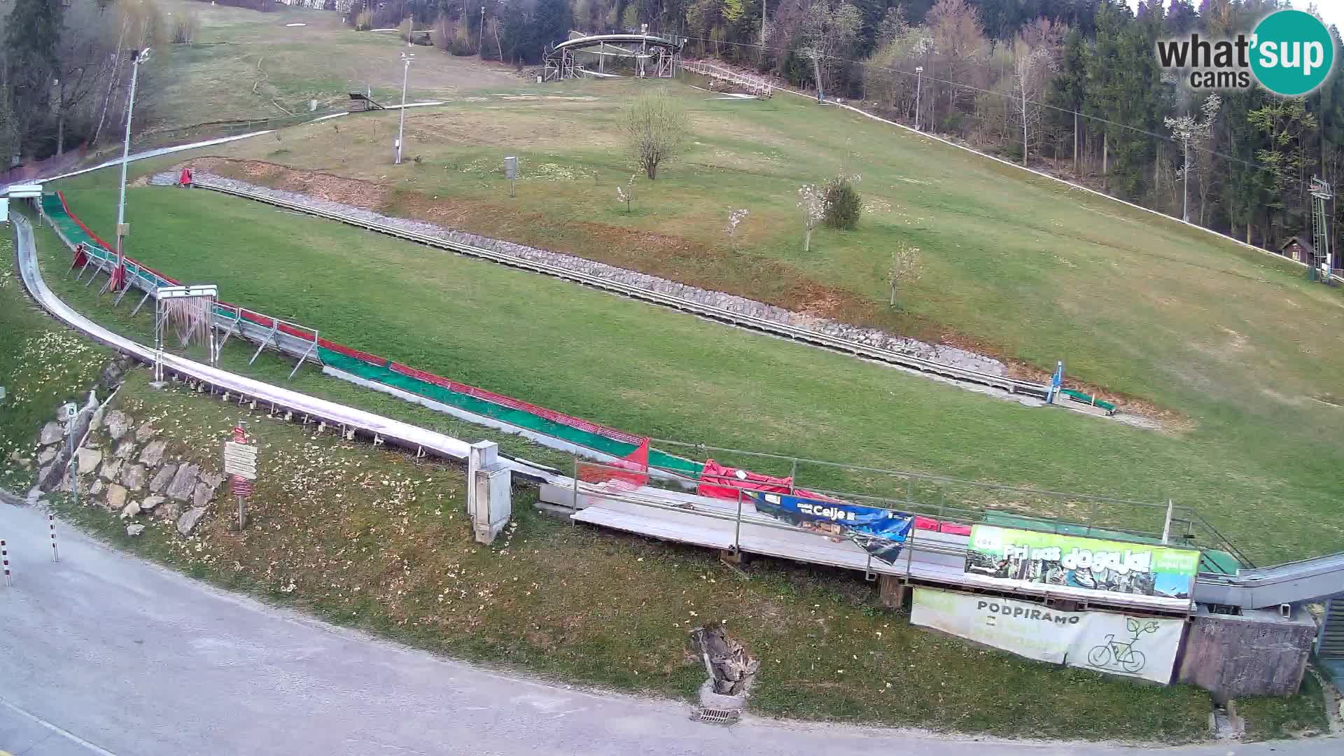 Celjska Koča – view from hotel – Celje – Slovenia