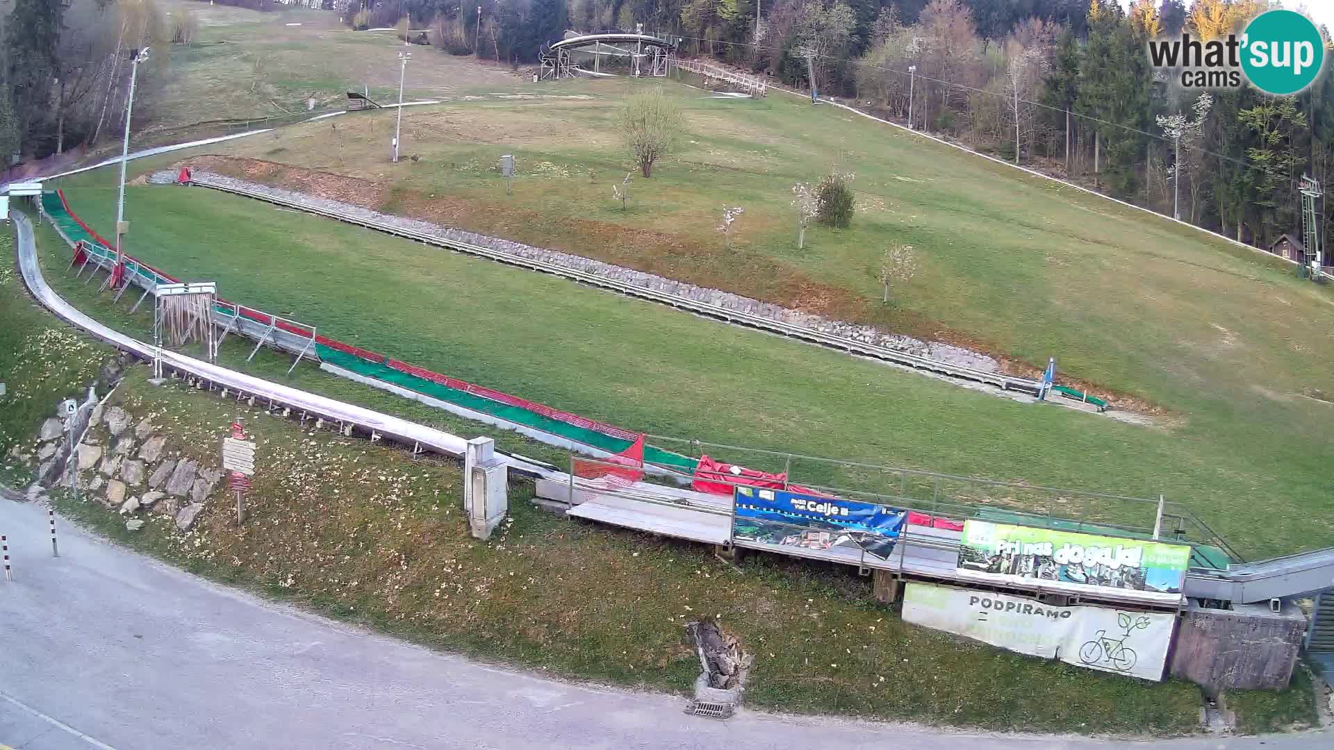 Celjska Koča – vista desde el hotel