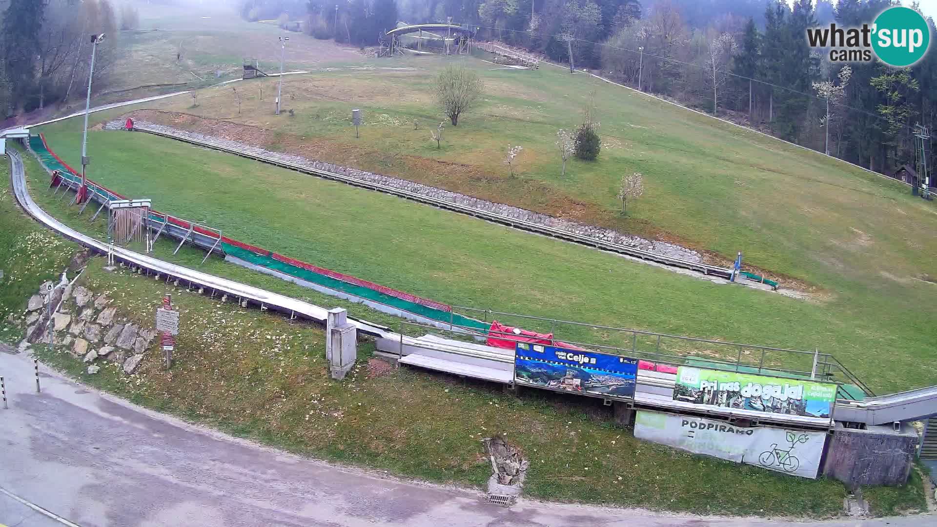 Celjska Koča – vista desde el hotel