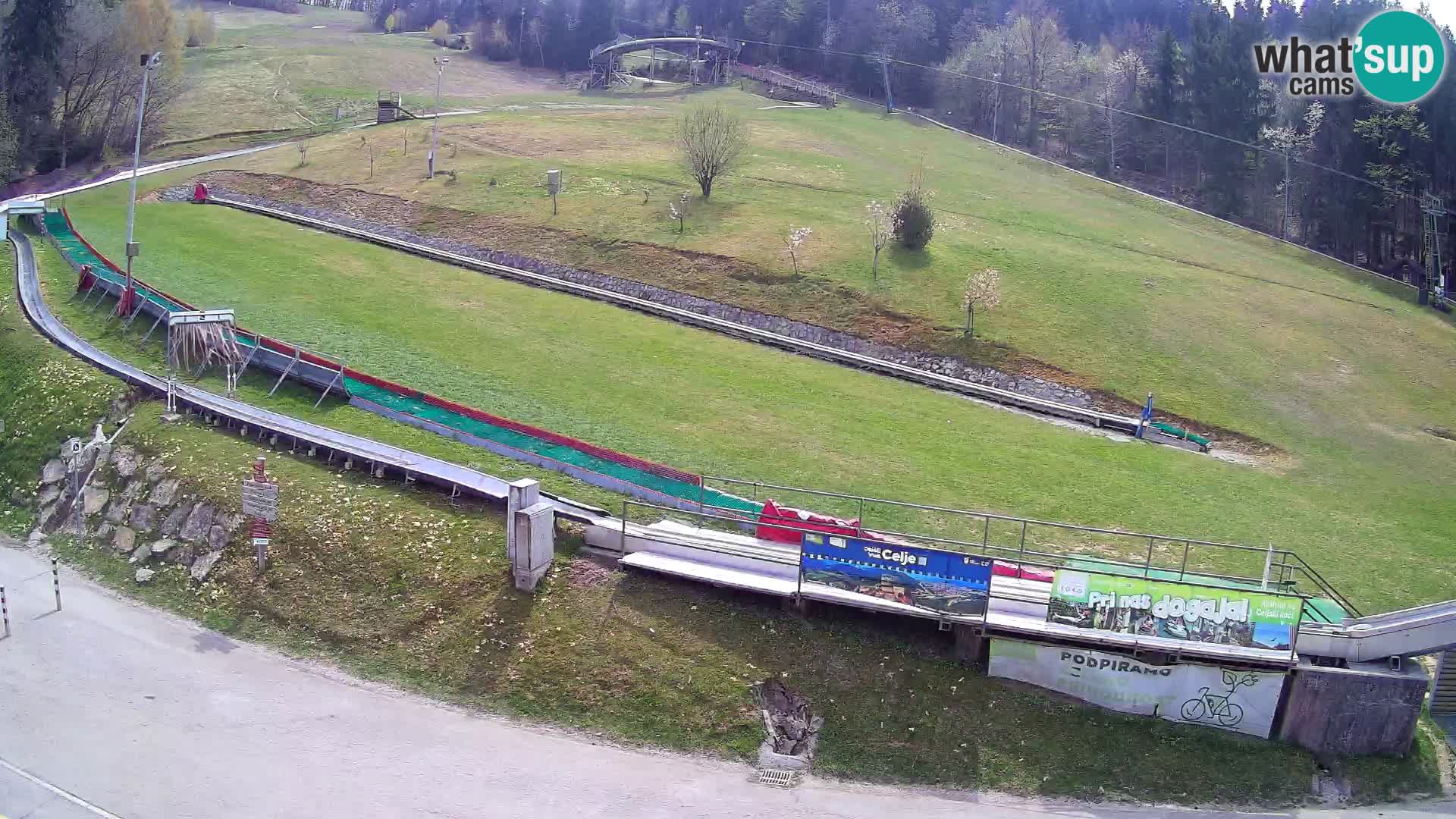 Celjska Koča – view from hotel – Celje – Slovenia