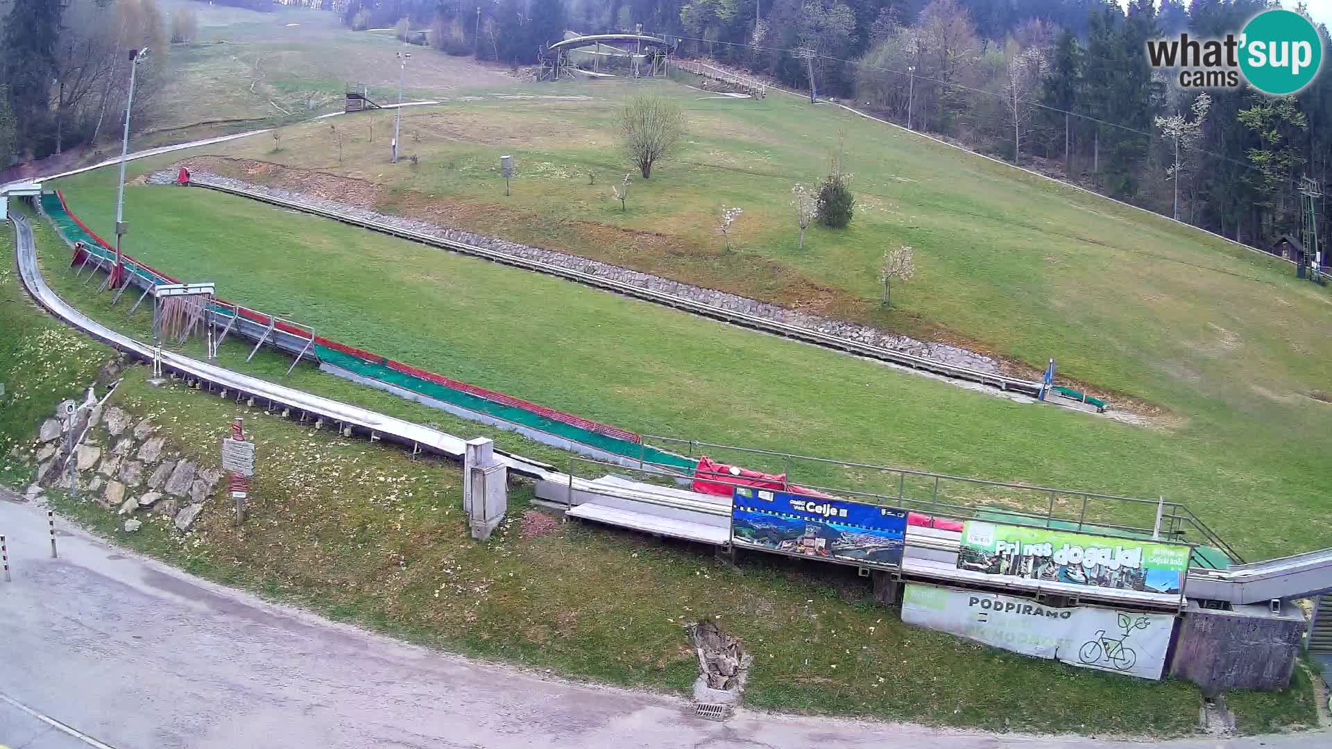 Celjska Koča – vista dall’hotel