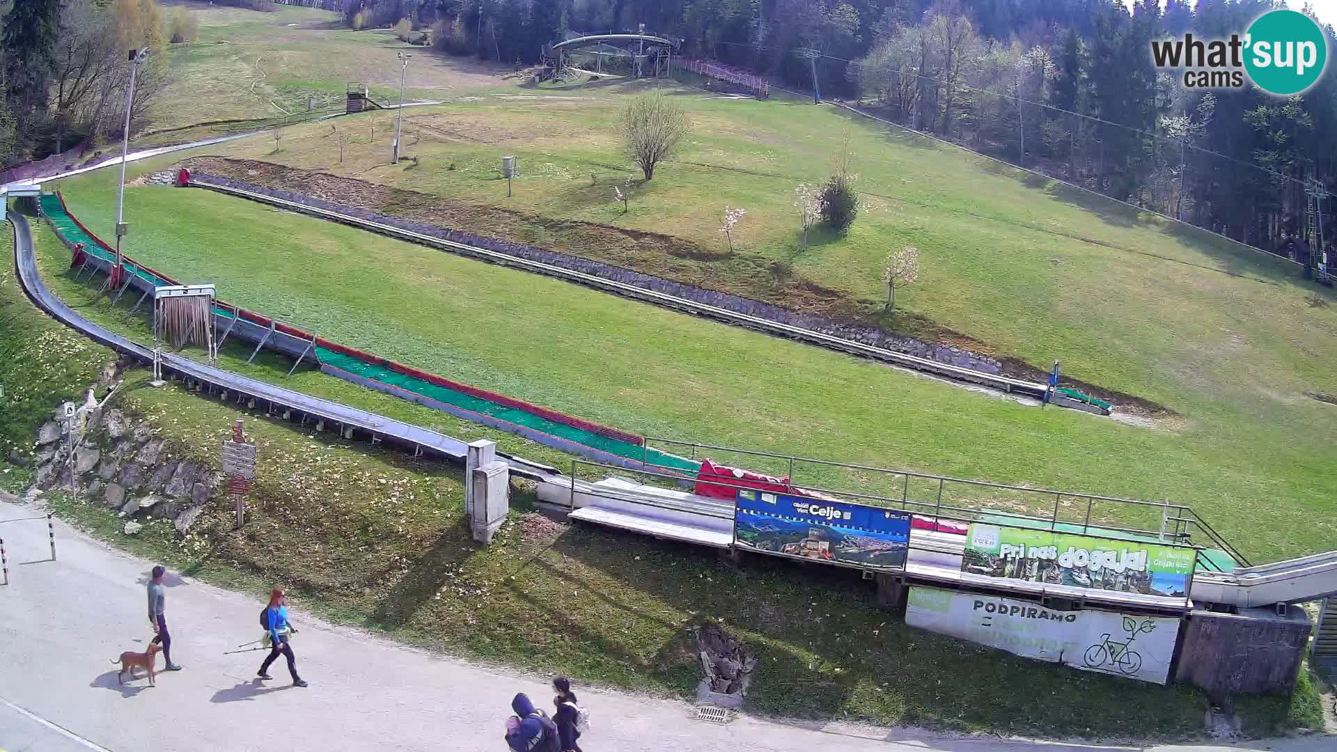 Celjska Koča – Blick vom Hotel