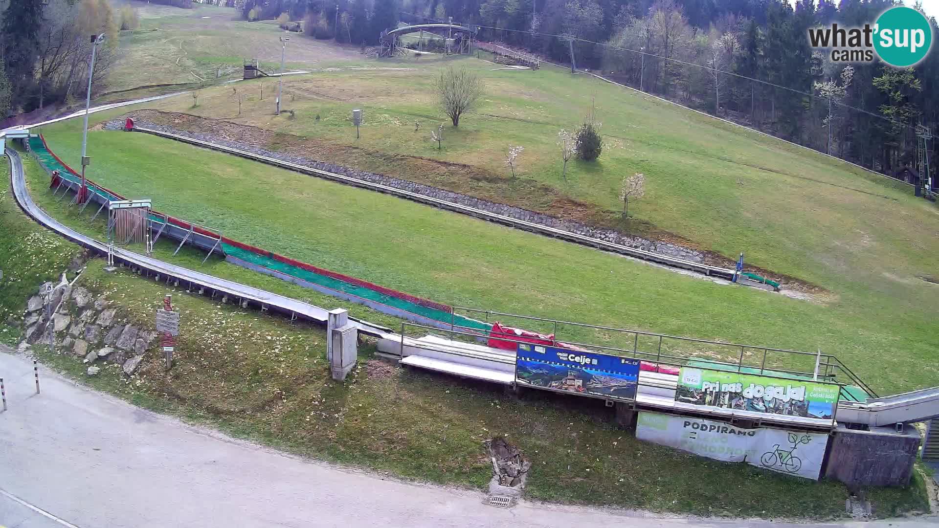 Celjska Koča – view from hotel – Celje – Slovenia