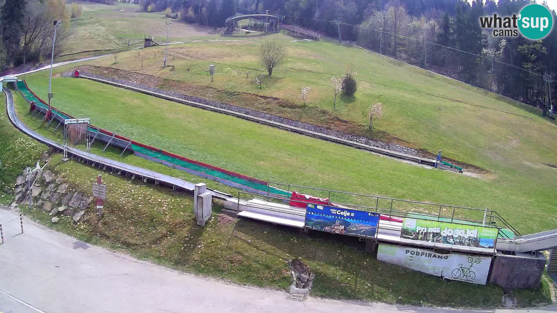 Celjska Koča – vista desde el hotel
