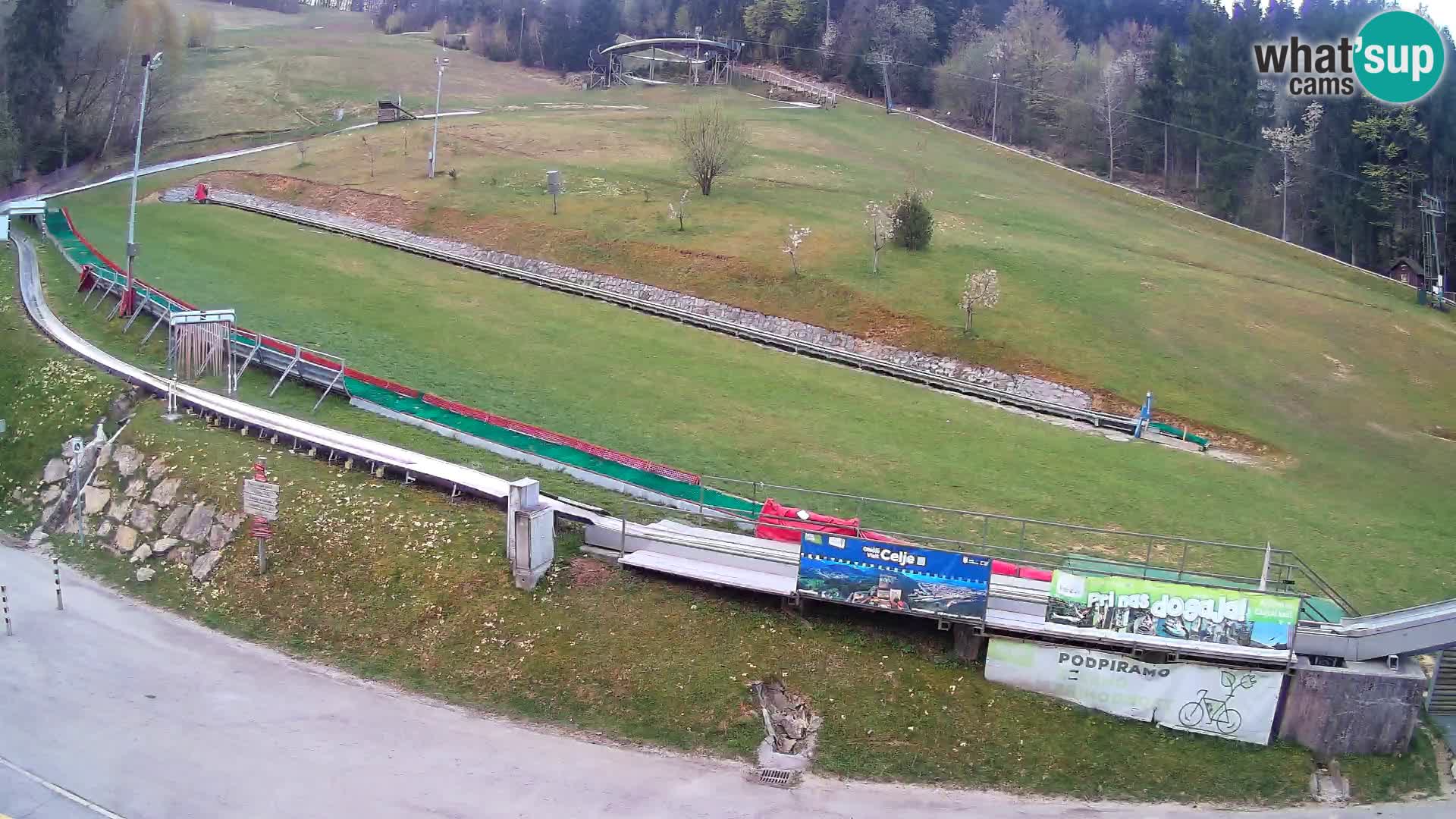 Celjska Koča – vista dall’hotel