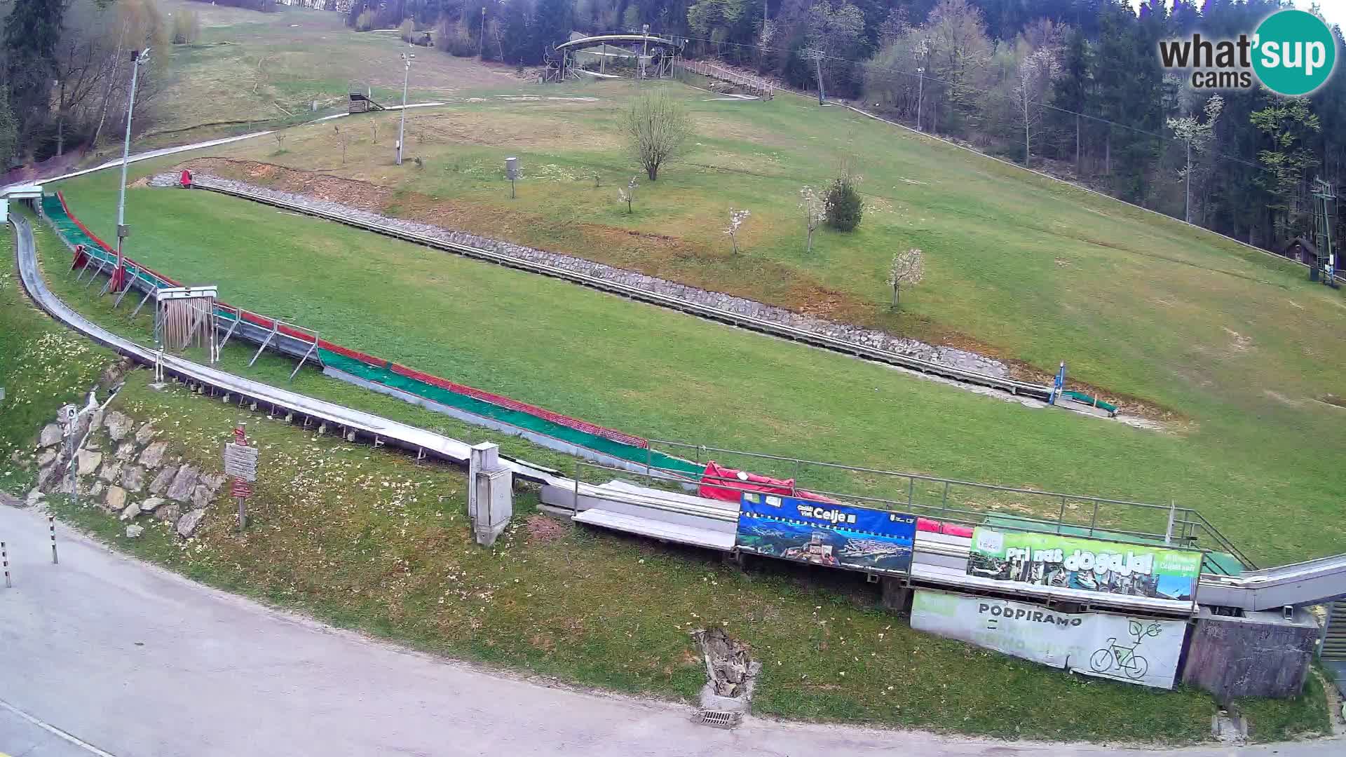 Celjska Koča – vista dall’hotel