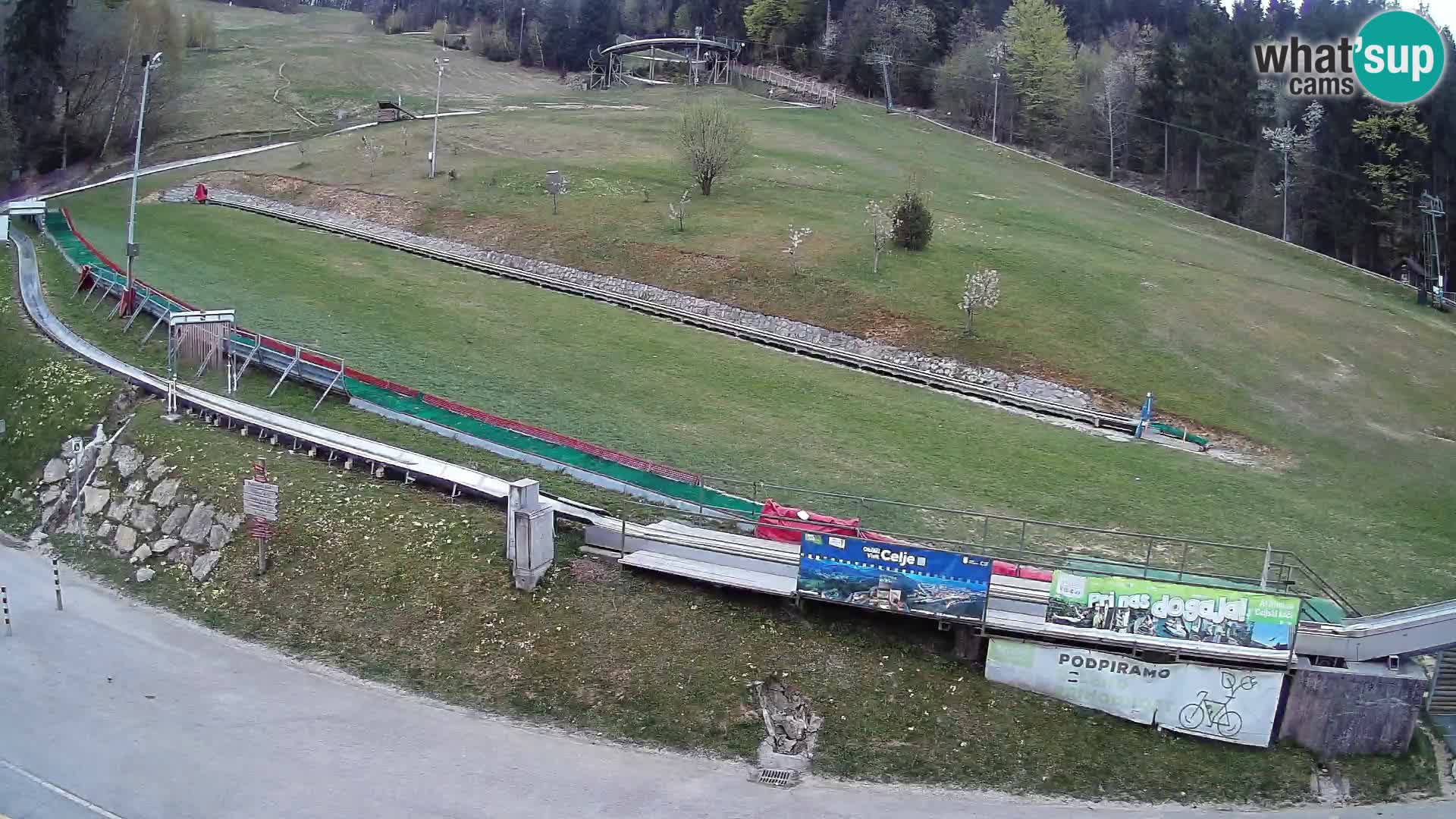 Celjska Koča – view from hotel – Celje – Slovenia