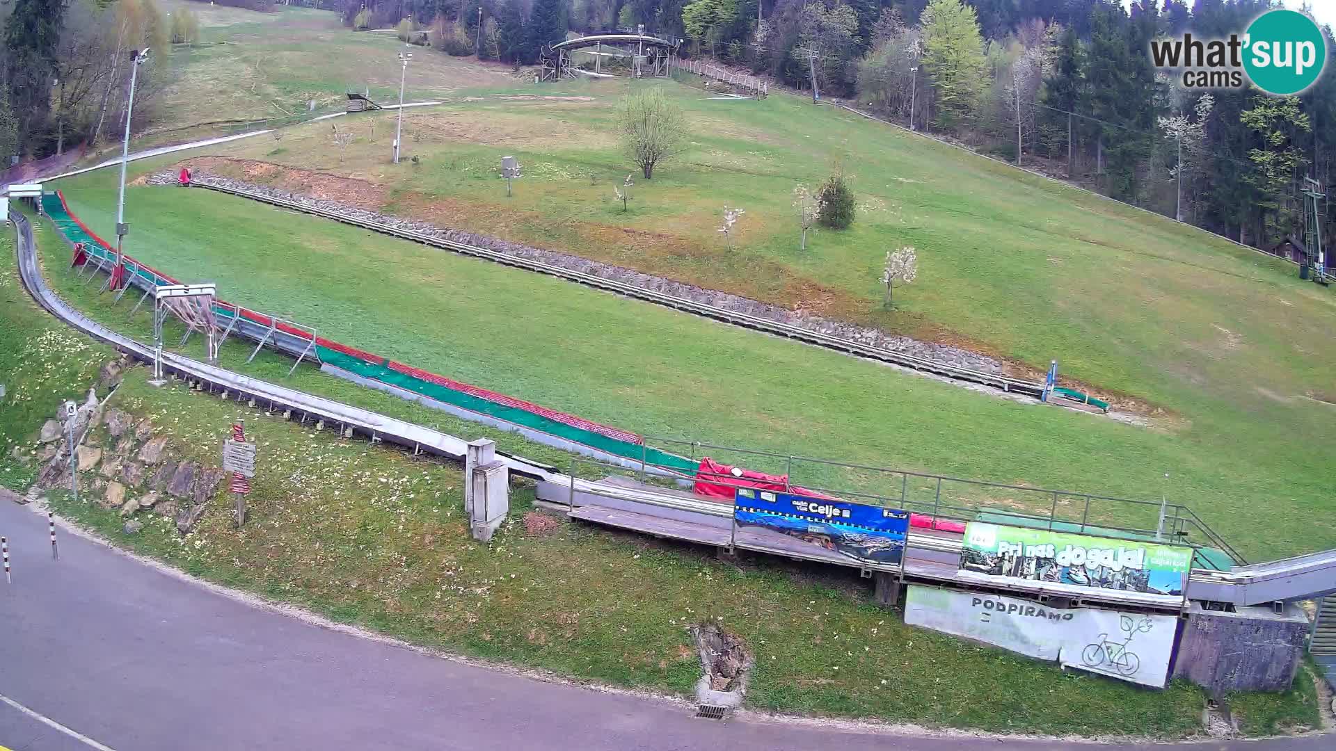 Celjska Koča – vista desde el hotel