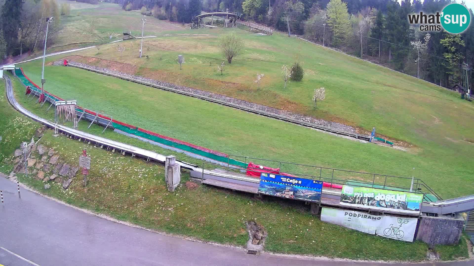 Celjska Koča – vista dall’hotel