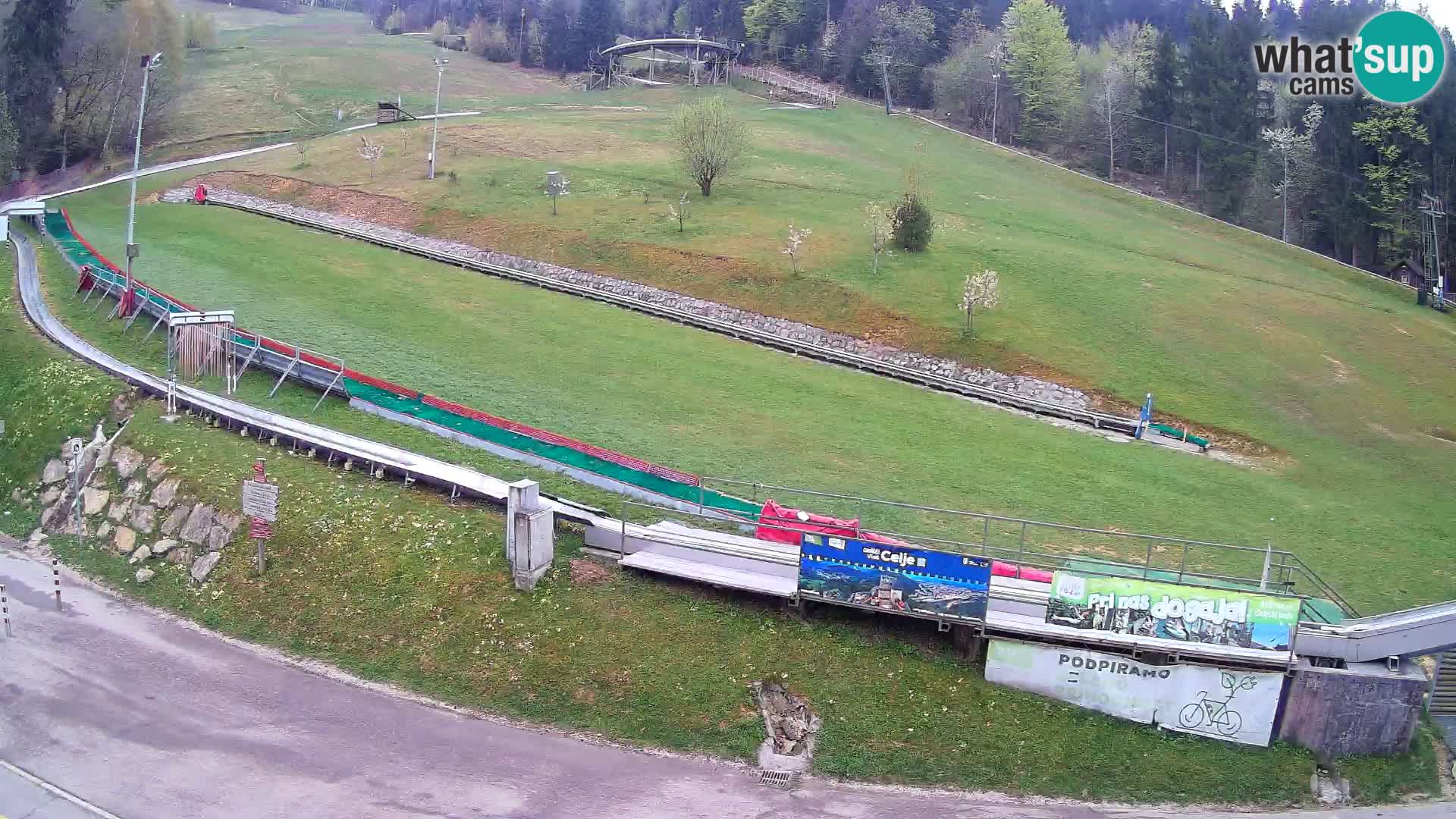 Celjska Koča – vista desde el hotel