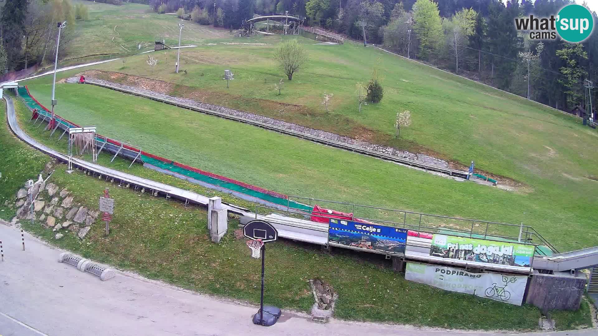 Celjska Koča – view from hotel – Celje – Slovenia