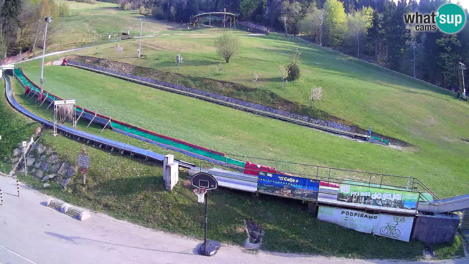 Celjska Koča – vista dall’hotel