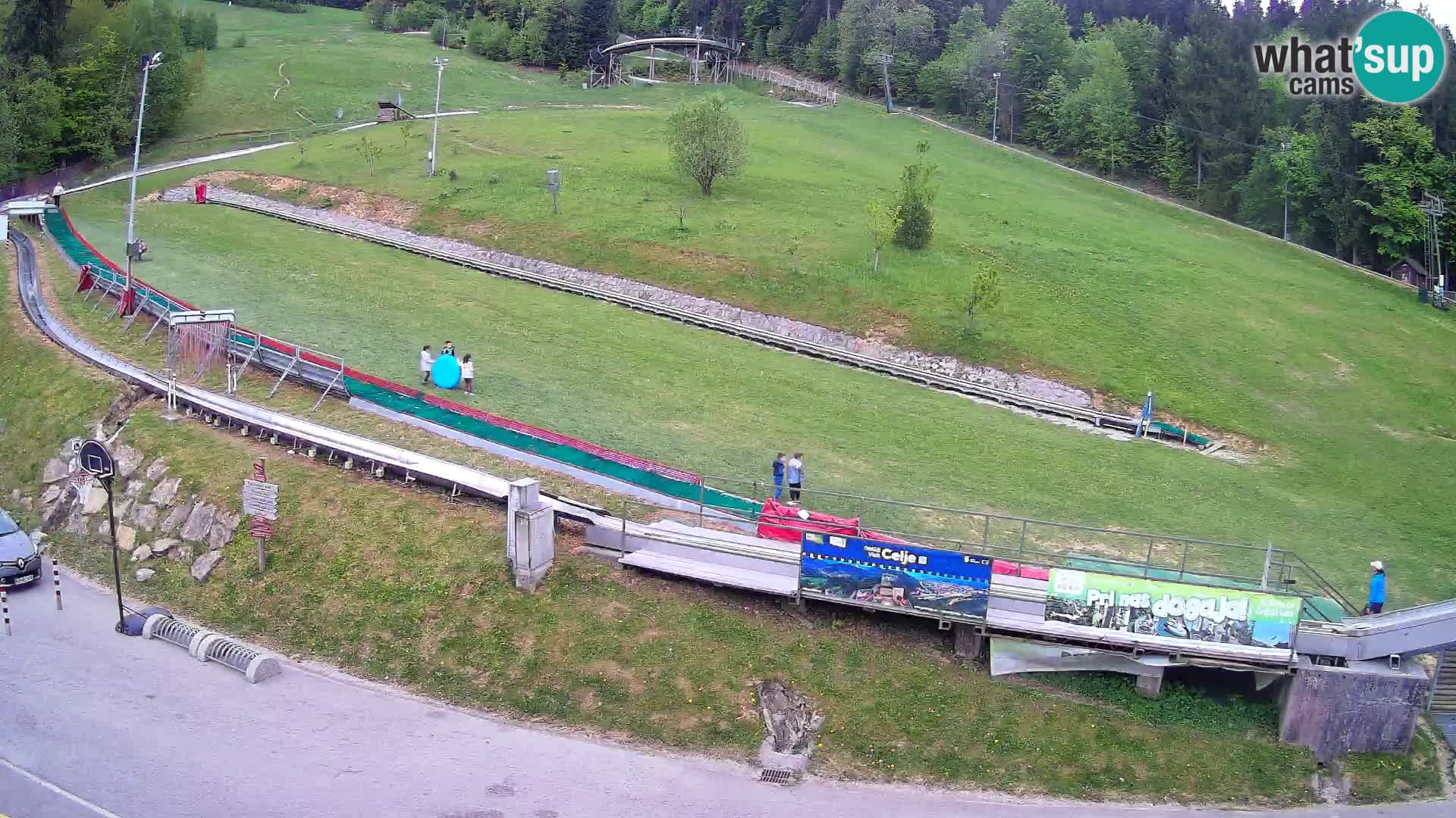 Celjska Koča – vista dall’hotel