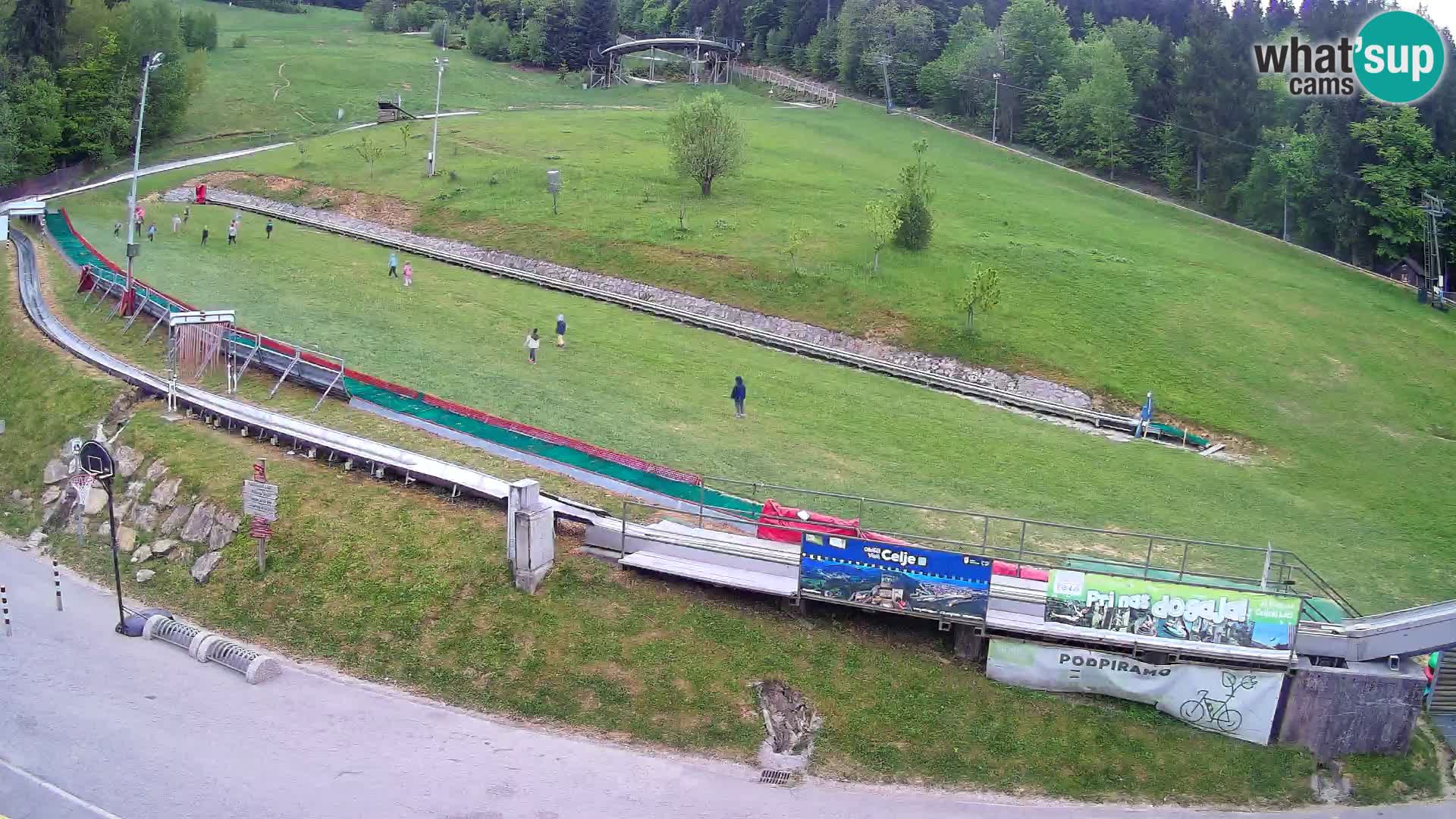 Celjska Koča – vista desde el hotel