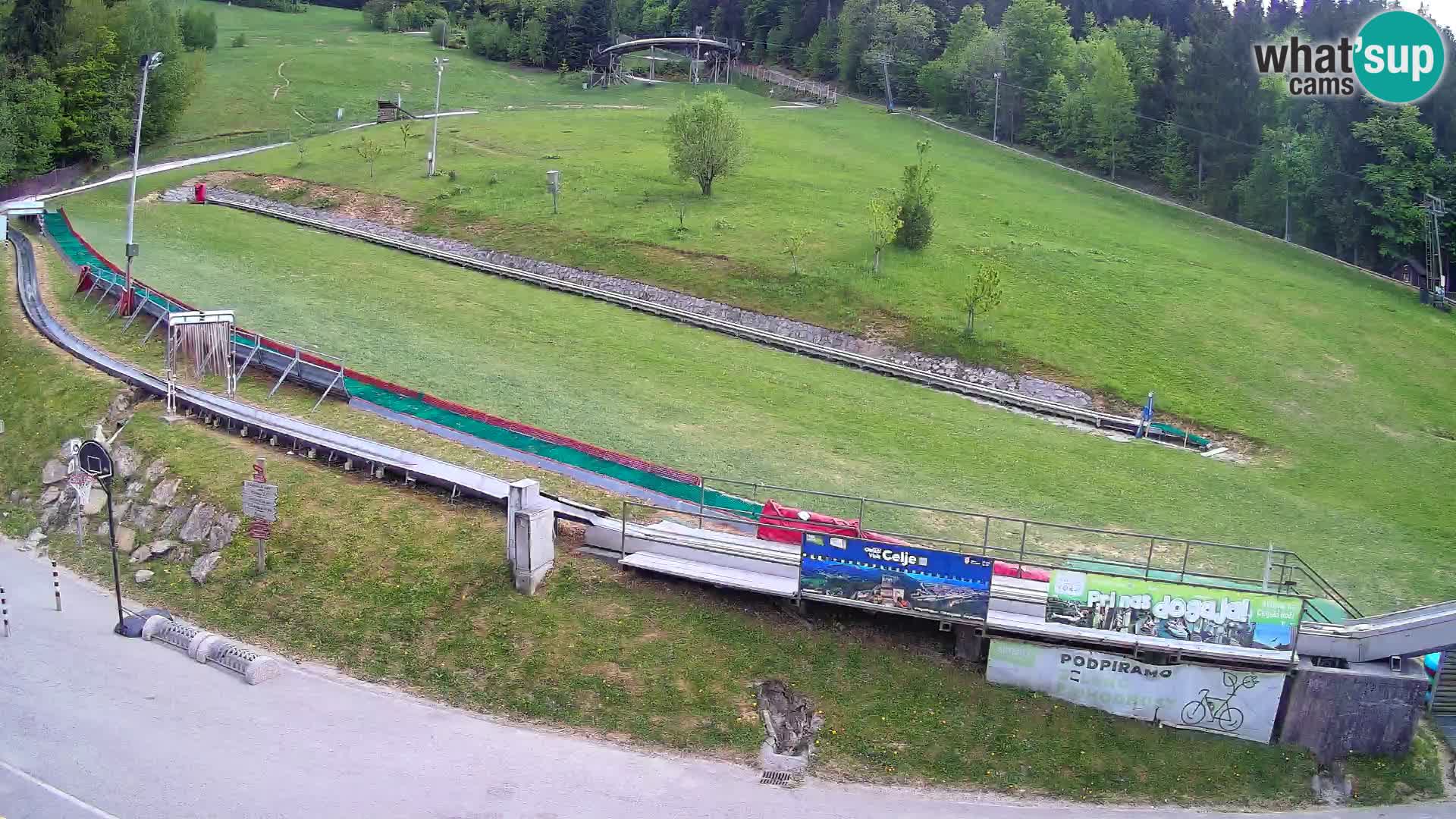 Celjska Koča – vista desde el hotel