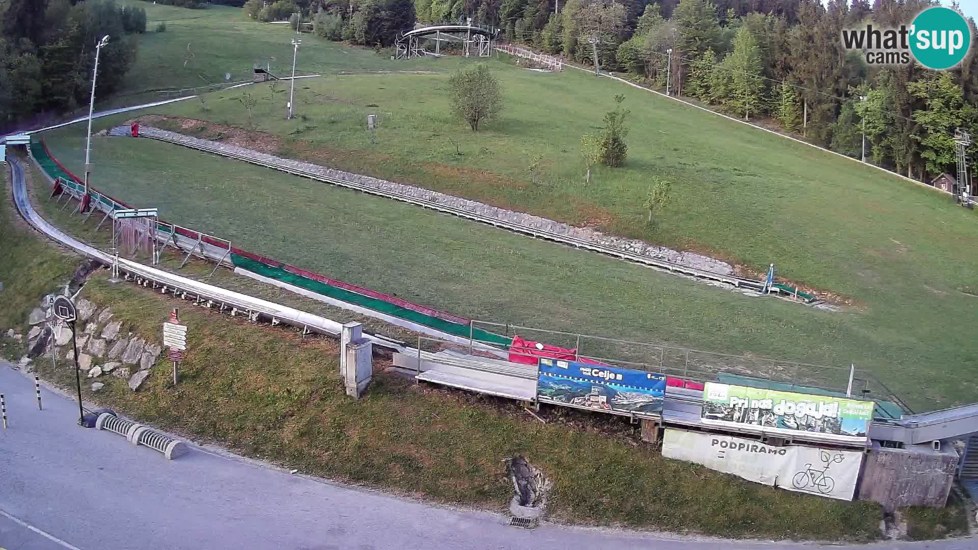 Celjska Koča – vista desde el hotel