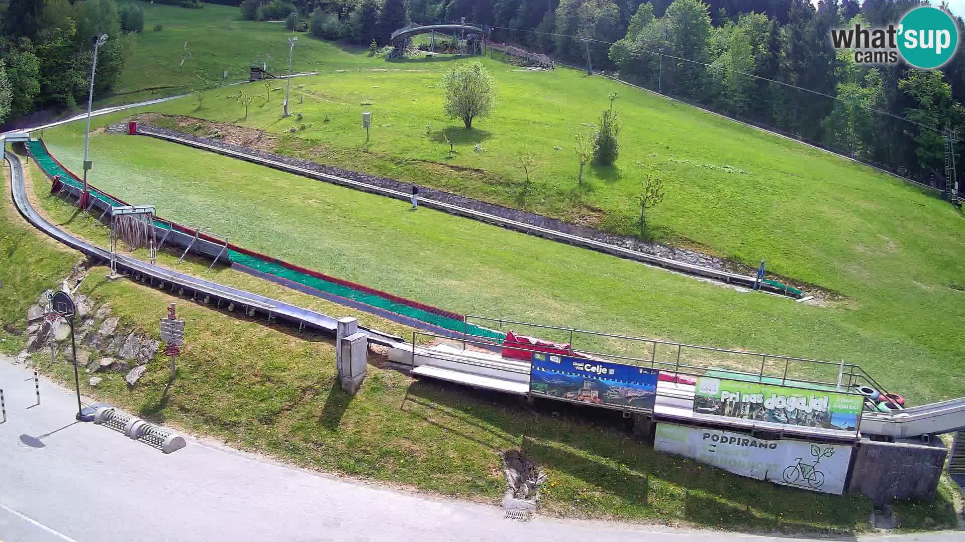 Celjska Koča – vista desde el hotel
