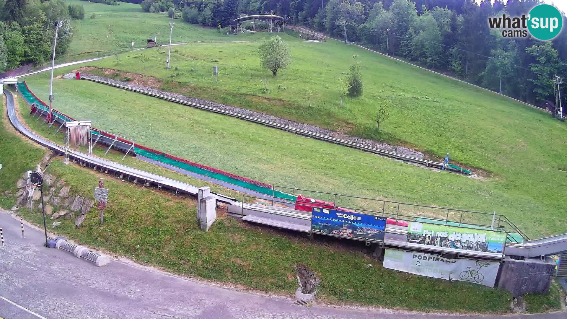 Celjska Koča – view from hotel – Celje – Slovenia