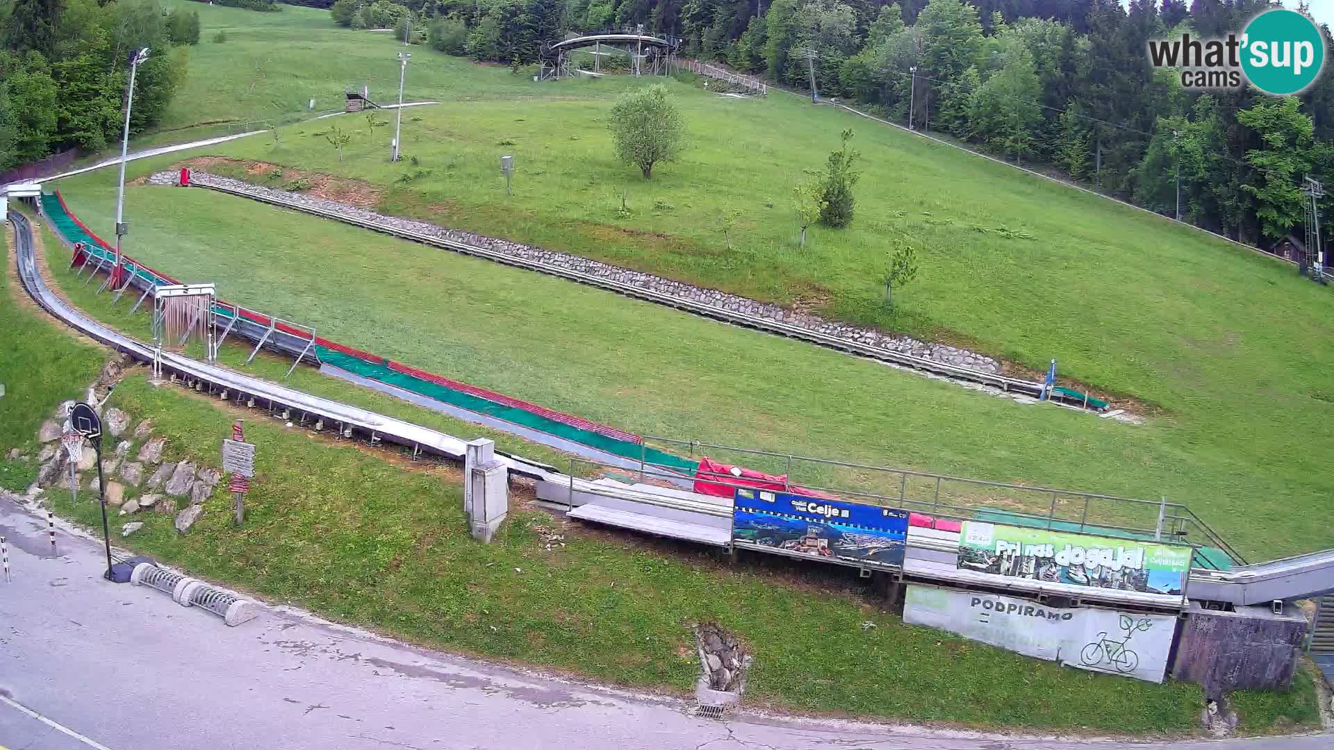 Celjska Koča – view from hotel – Celje – Slovenia