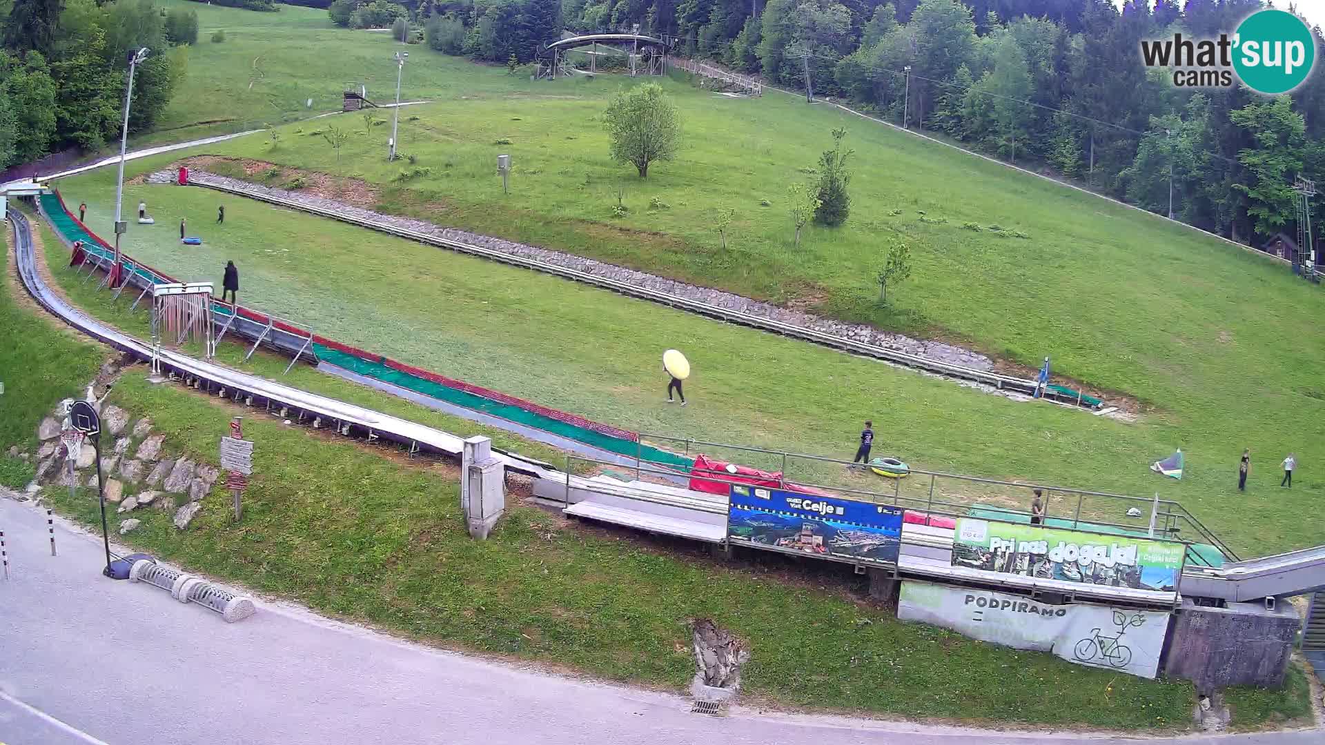 Celjska Koča – Blick vom Hotel