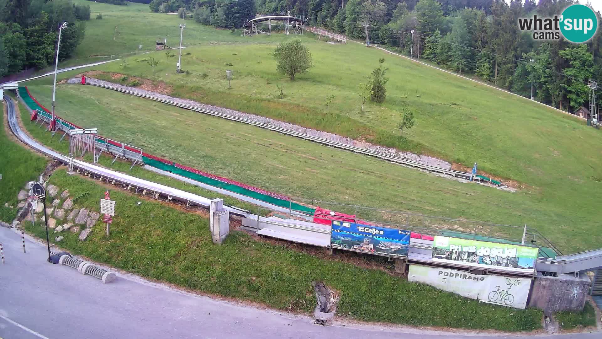 Celjska Koča – vista dall’hotel