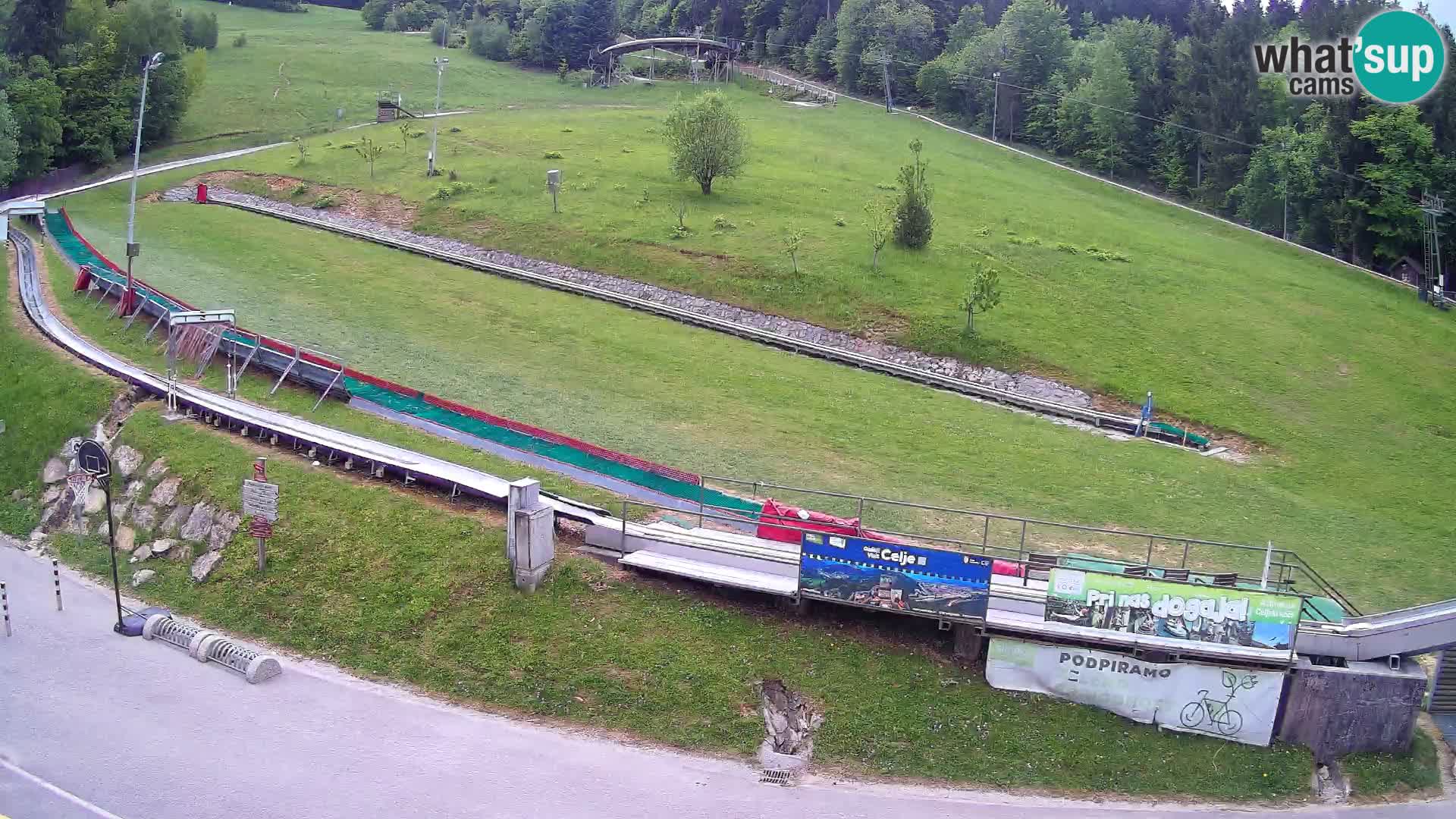 Celjska Koča – view from hotel – Celje – Slovenia