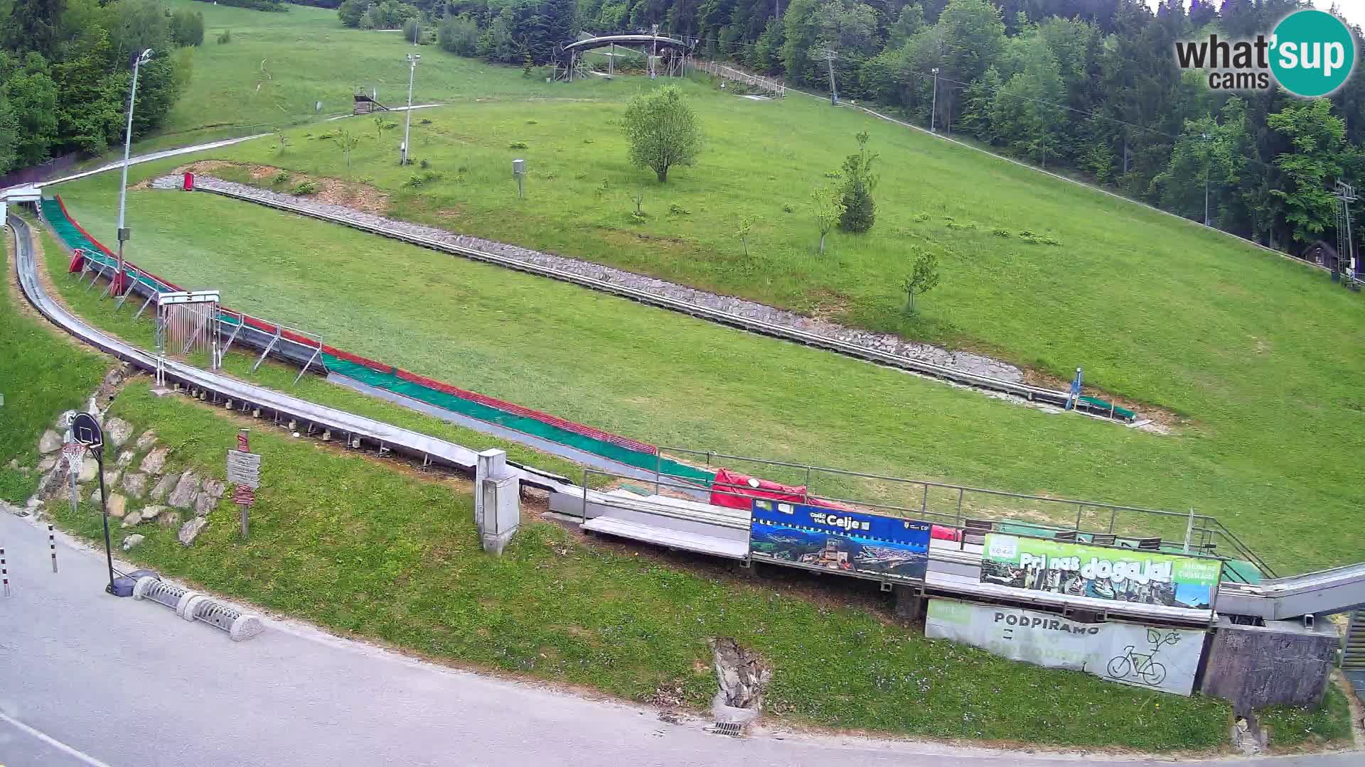 Celjska Koča – vista desde el hotel
