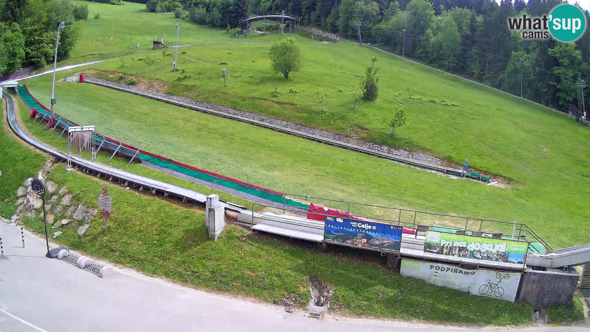 Celjska Koča – vista desde el hotel