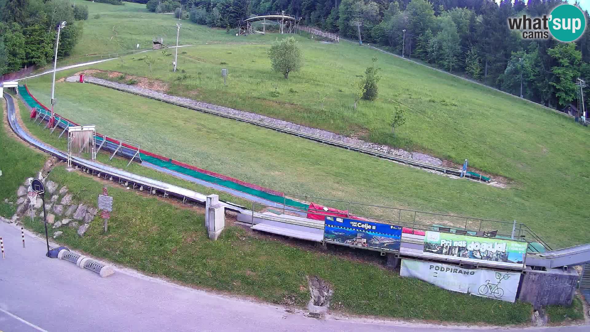 Celjska Koča – view from hotel – Celje – Slovenia