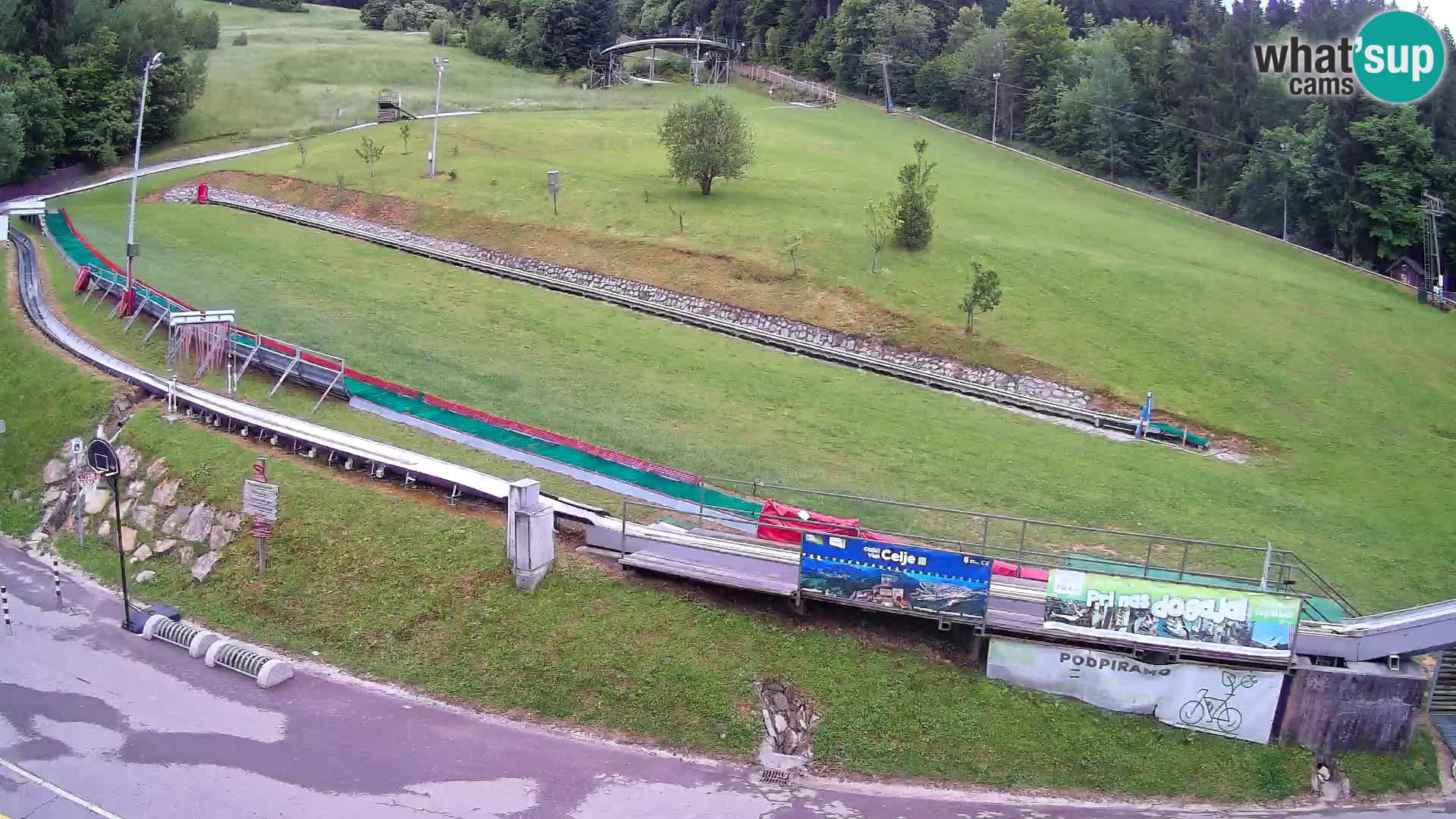 Celjska Koča – vista dall’hotel