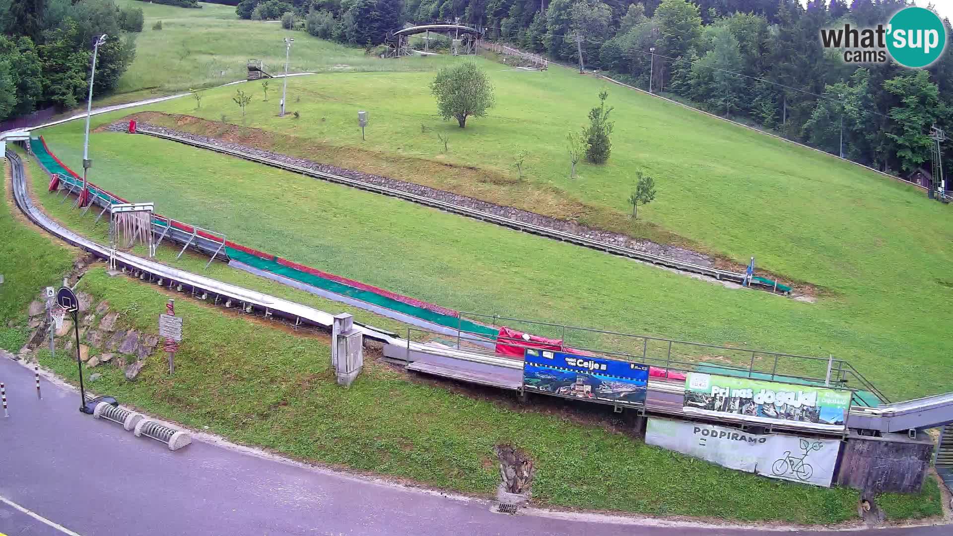 Celjska Koča – vista desde el hotel
