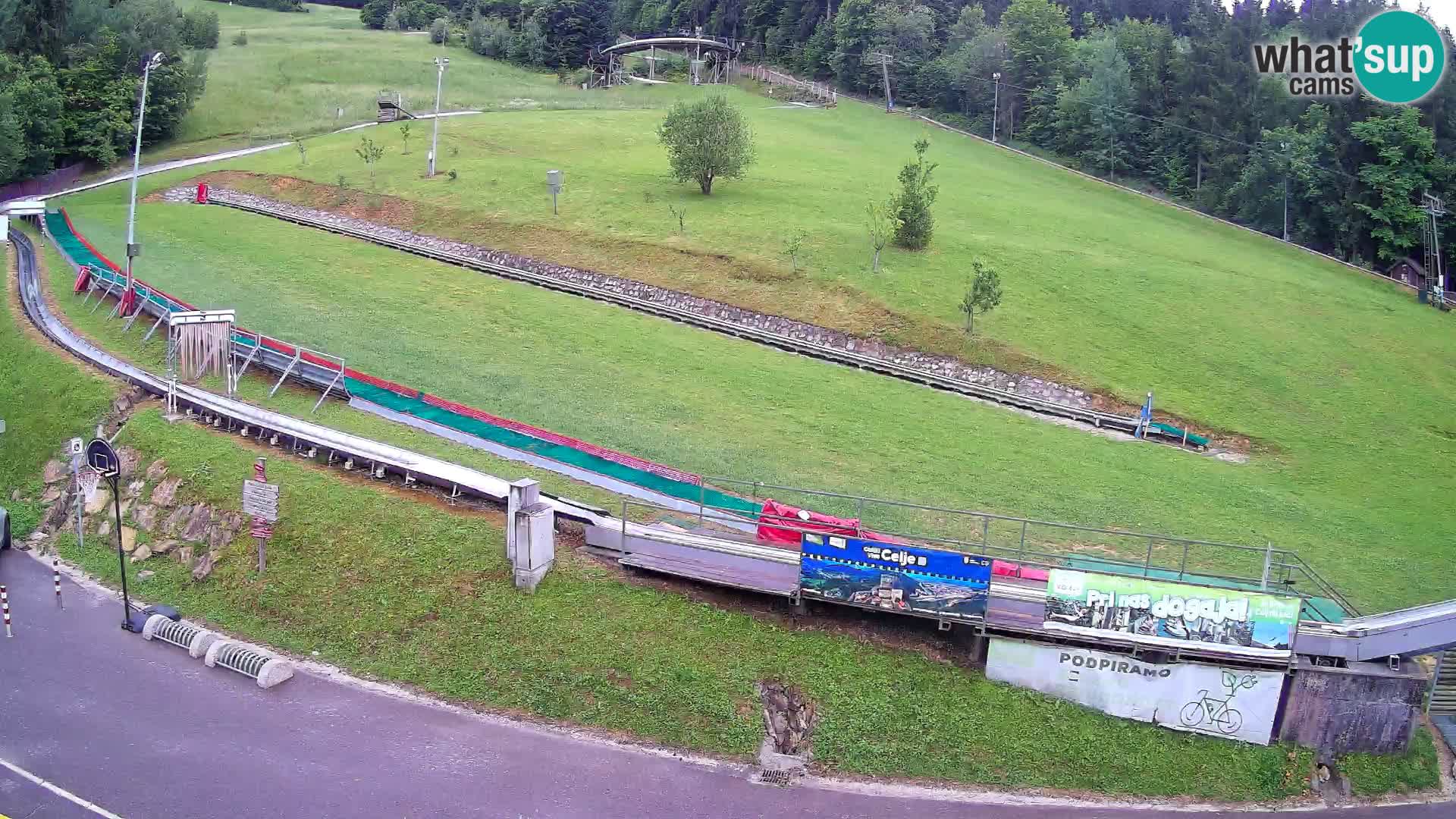 Celjska Koča – vista dall’hotel