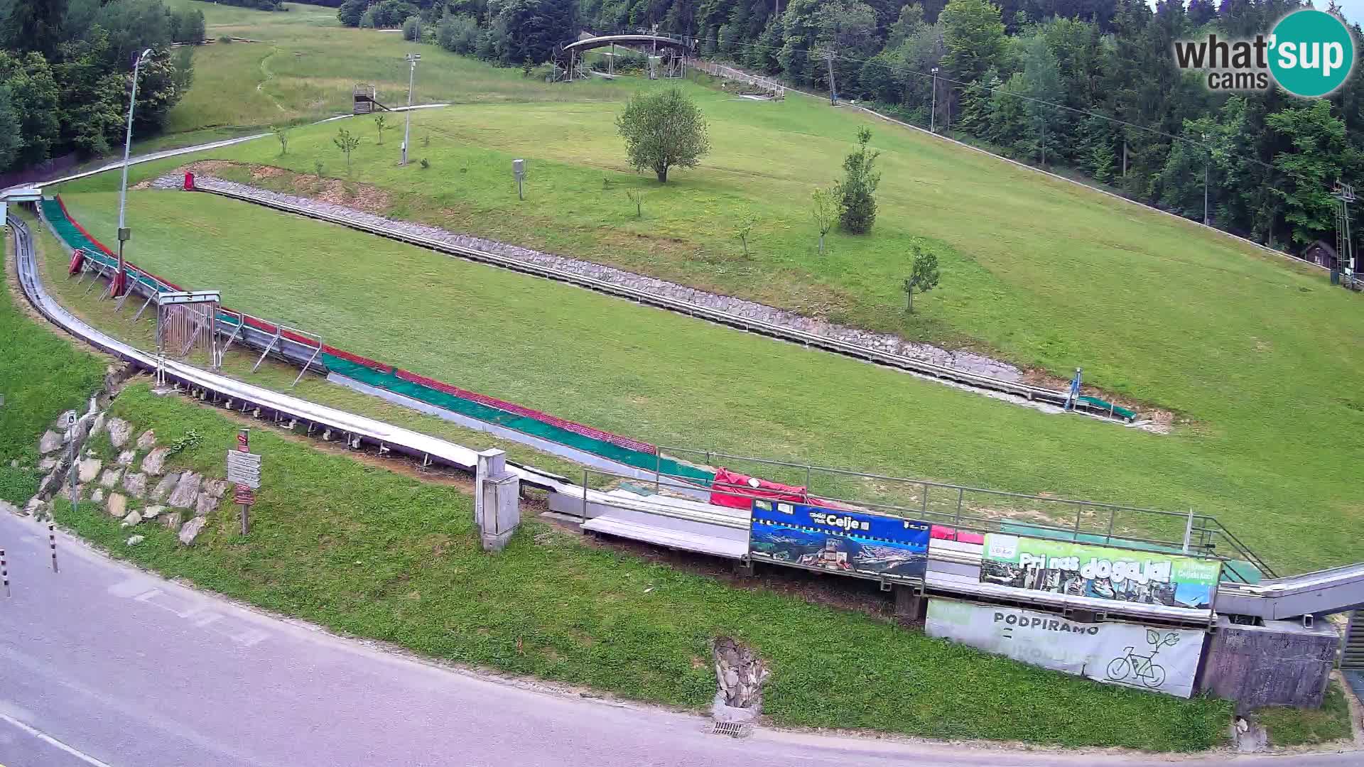 Celjska Koča – vista desde el hotel