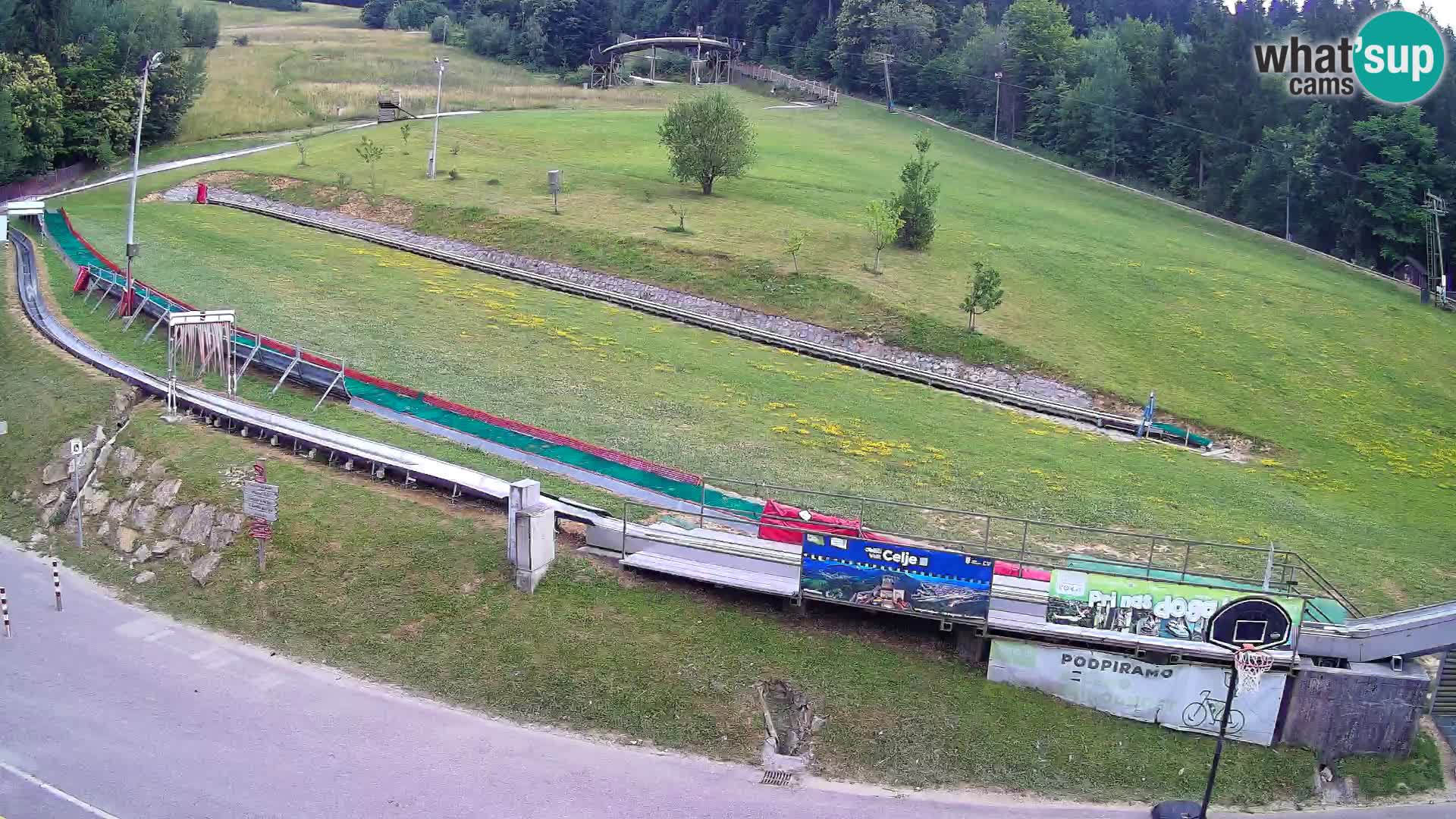 Celjska Koča – vista desde el hotel