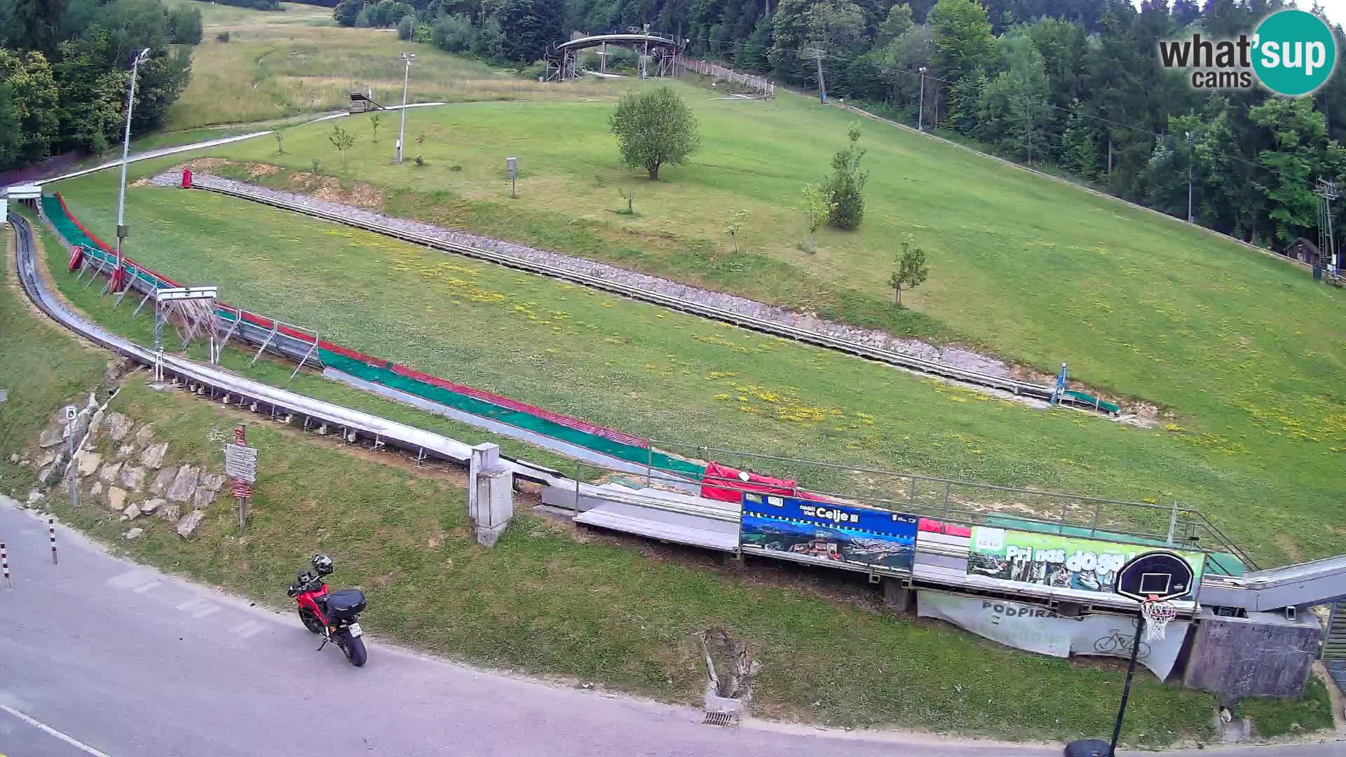 Celjska Koča – vista desde el hotel