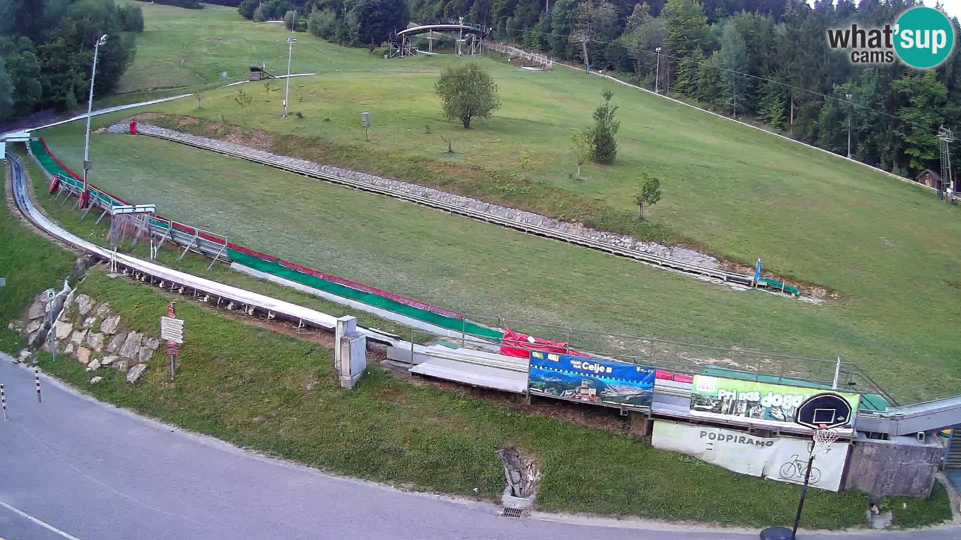 Celjska Koča – Blick vom Hotel
