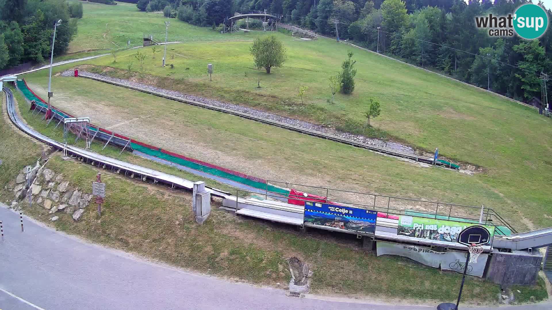 Celjska Koča – vista desde el hotel