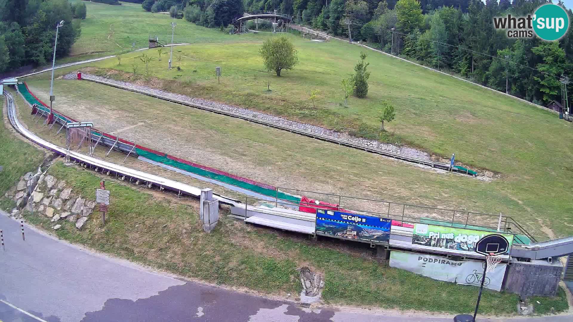 Celjska Koča – vista desde el hotel