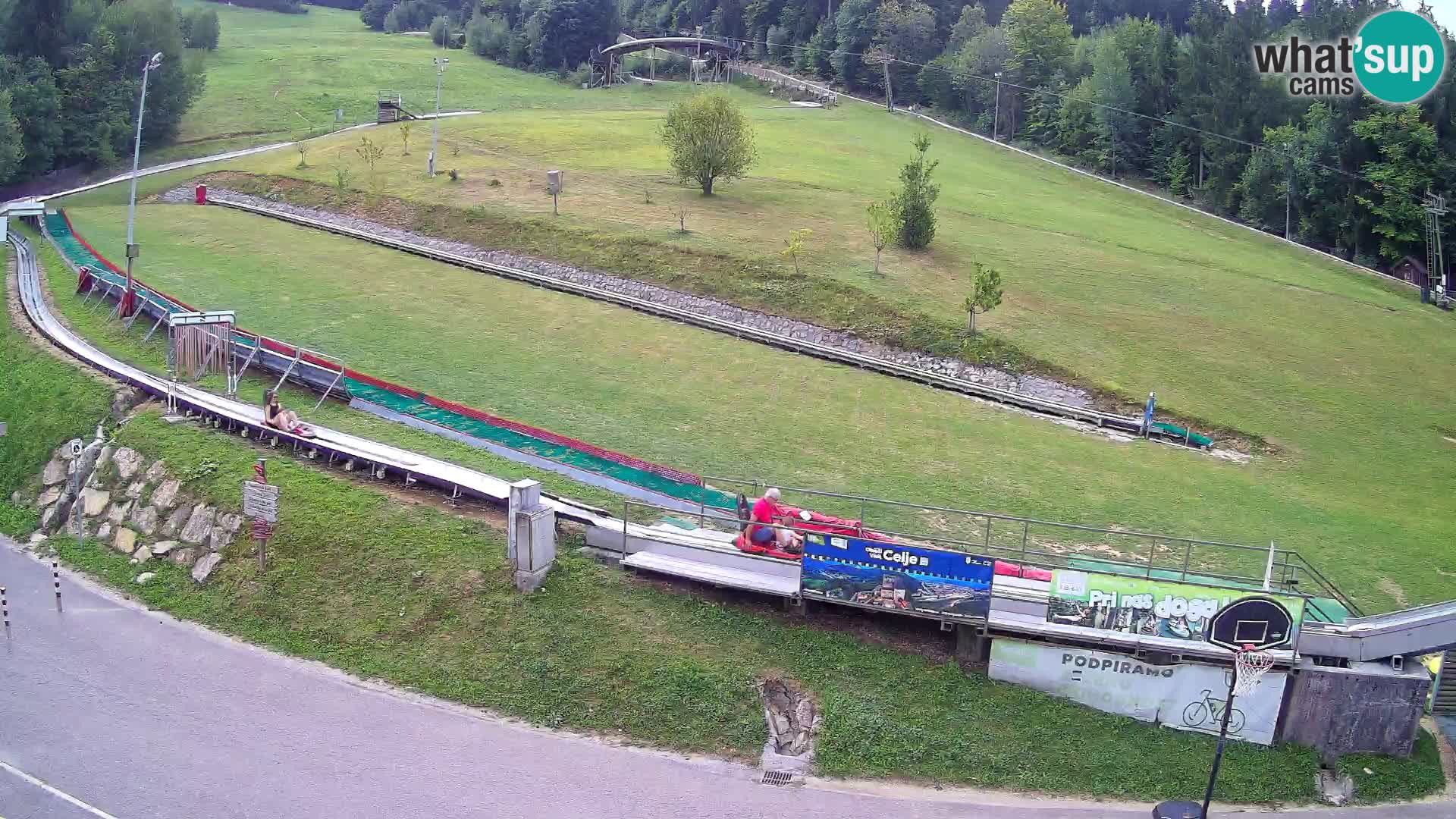 Celjska Koča – vista dall’hotel