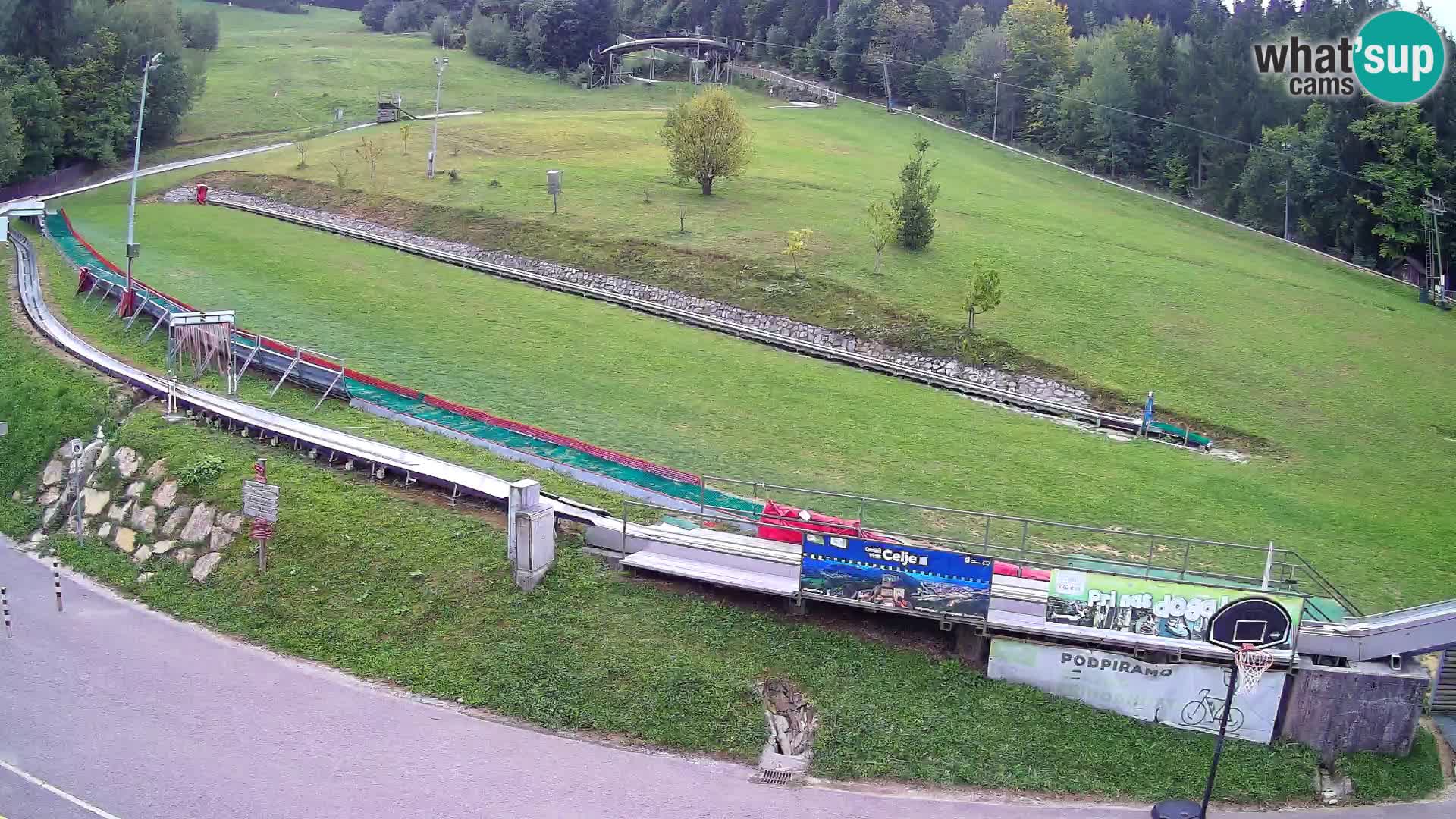 Celjska Koča – Blick vom Hotel