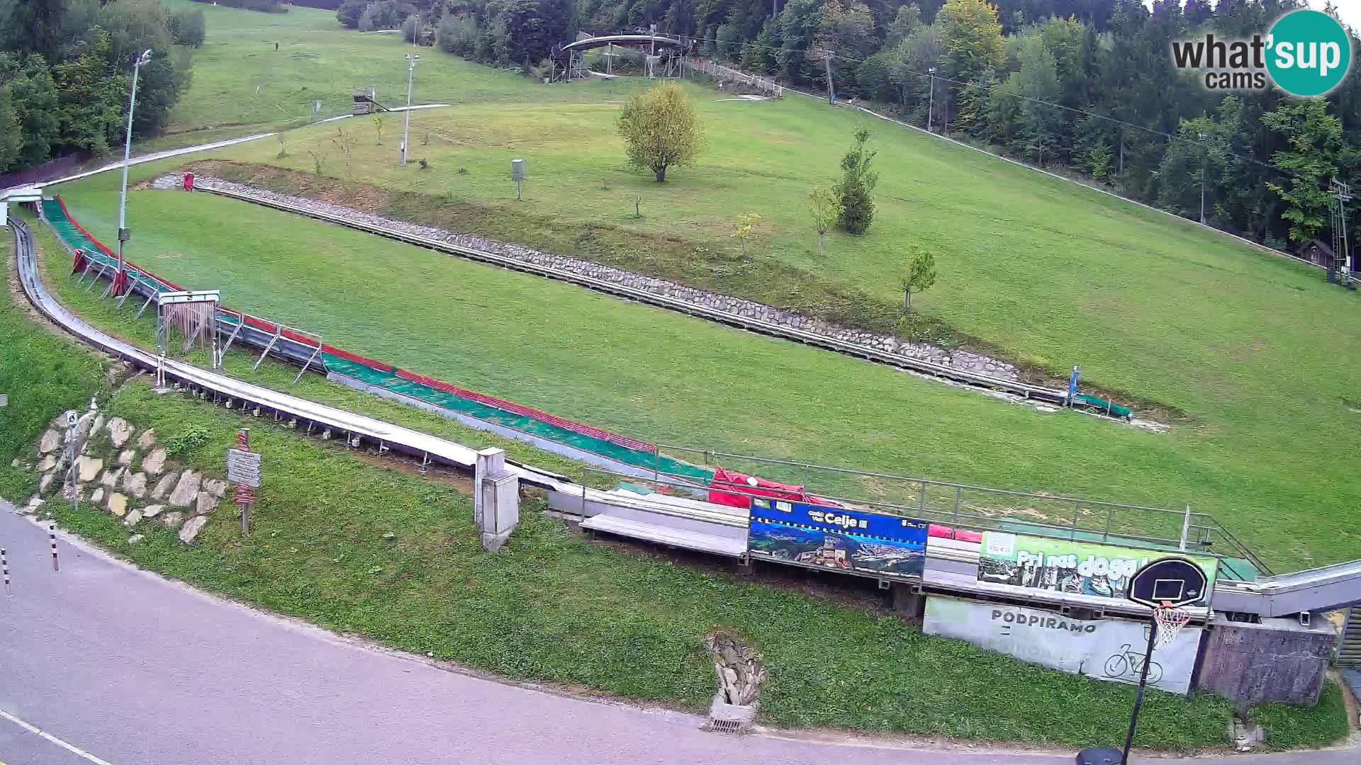 Celjska Koča – Blick vom Hotel