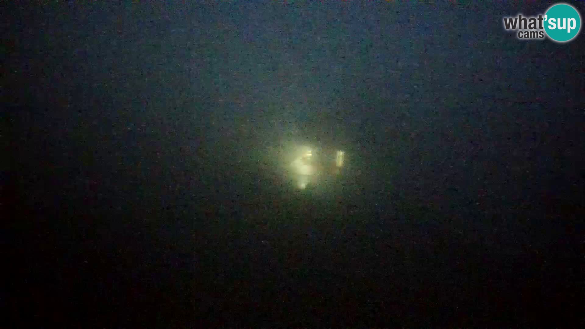 Celjska Koča – web kamera