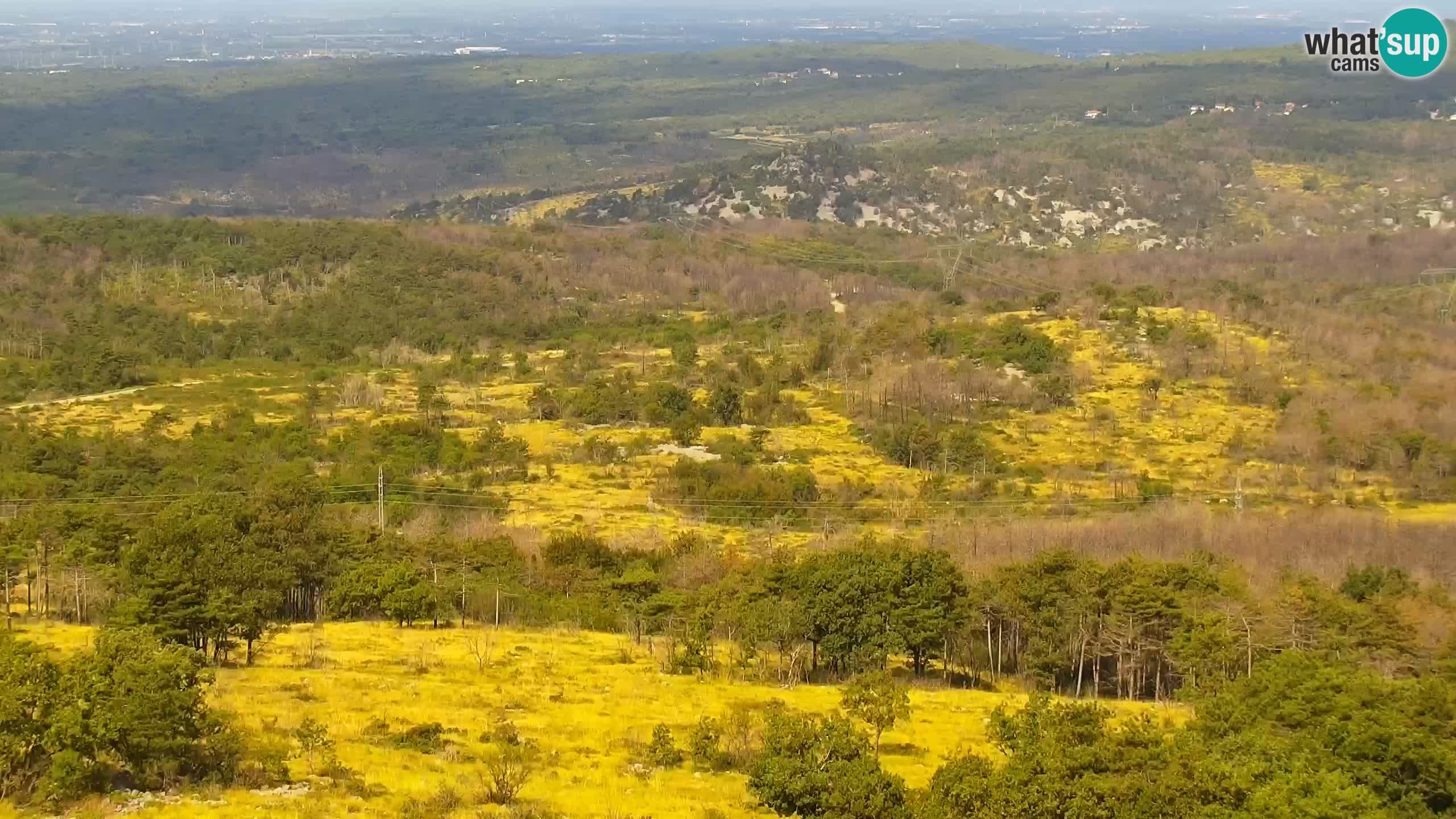 Spletna kamera Cerje – Miren – Kostanjevica – Goriška