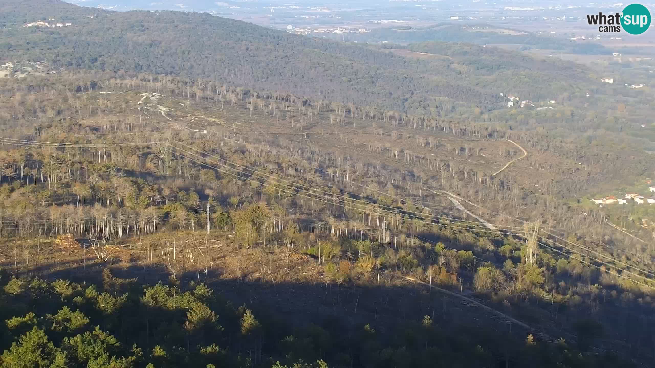 Webcam uživo Cerje – Miren – Kostanjevica – Slovenija