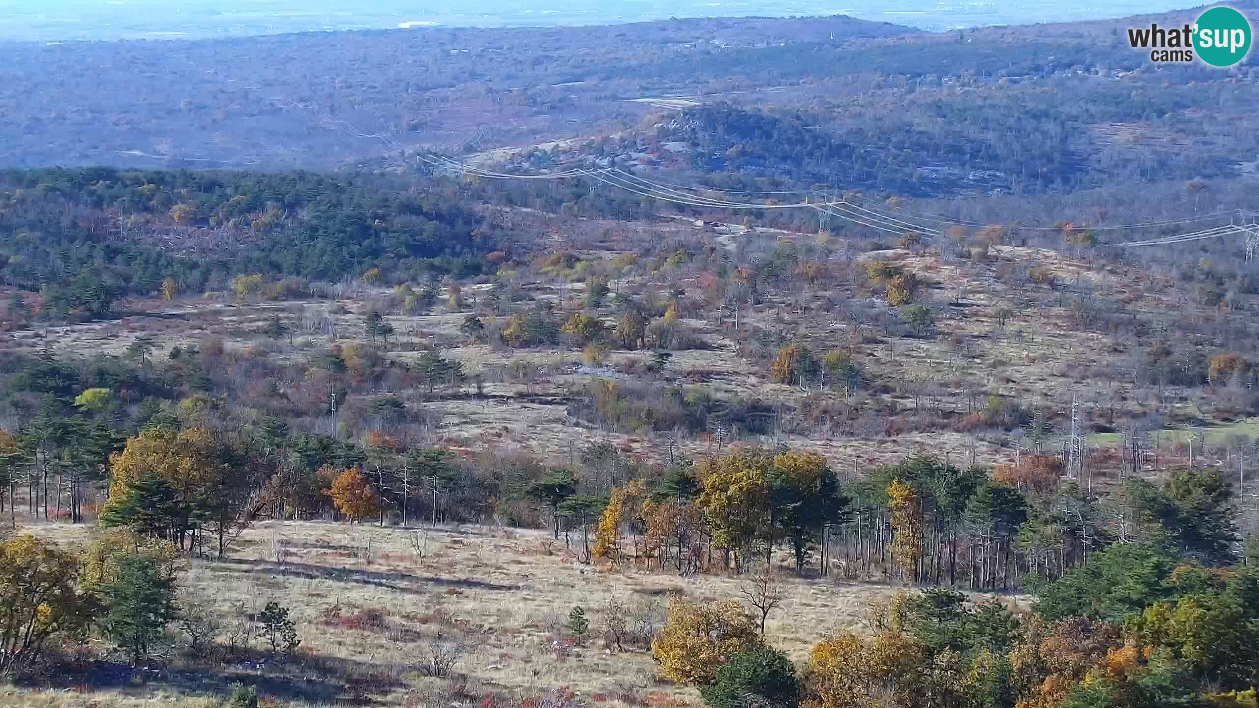 Spletna kamera Cerje – Miren – Kostanjevica – Goriška