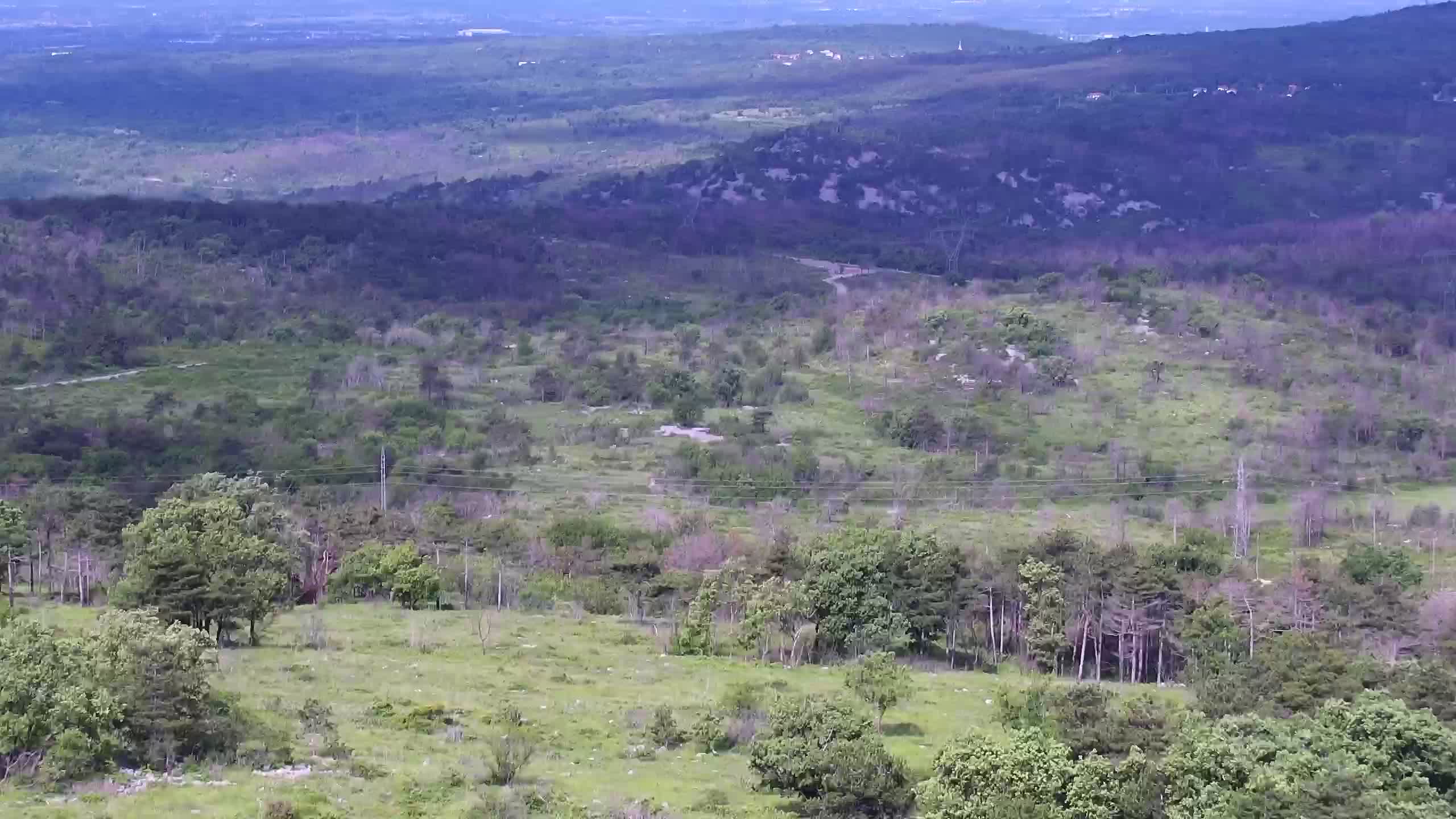Live webcam Cerje – Miren – Kostanjevica – Slovenia